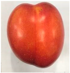 Plants 12 02711 i009