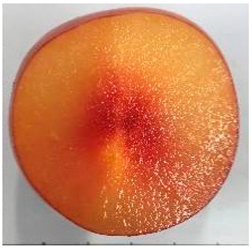 Plants 12 02711 i010