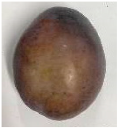 Plants 12 02711 i013