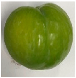 Plants 12 02711 i017