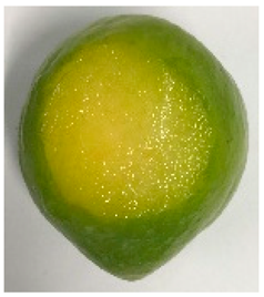 Plants 12 02711 i018