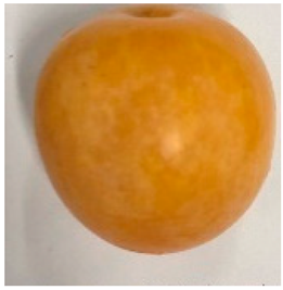 Plants 12 02711 i019