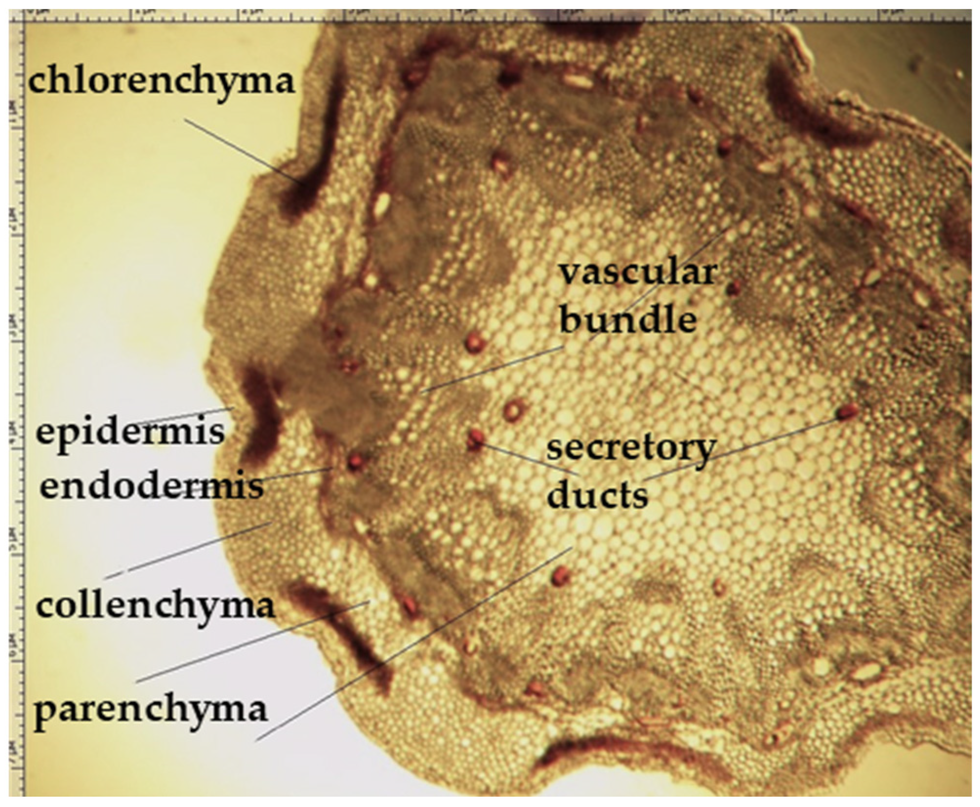 Plants 12 02714 g005 550
