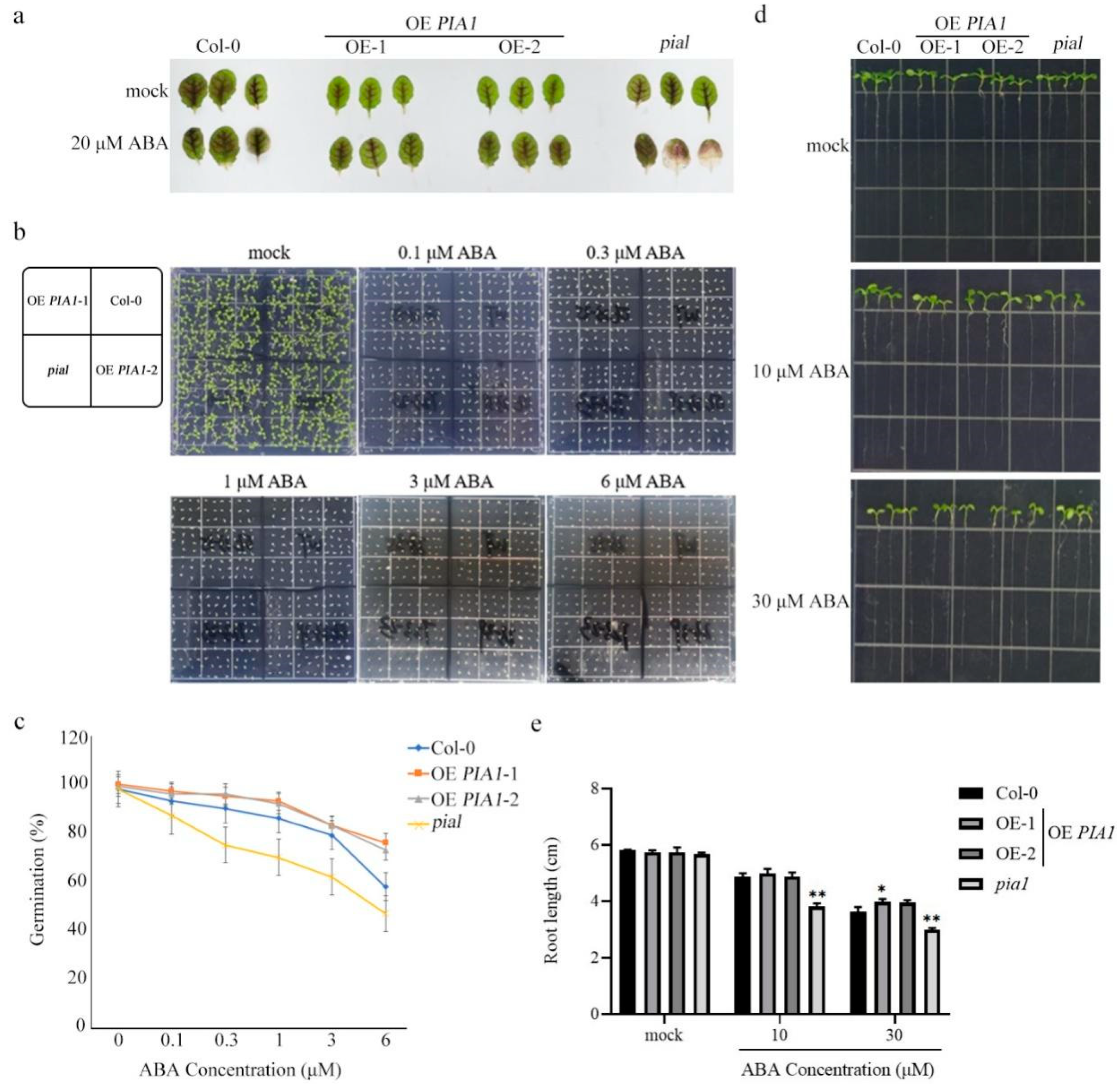 Plants 12 02716 g002 Plants 12 02716 g002