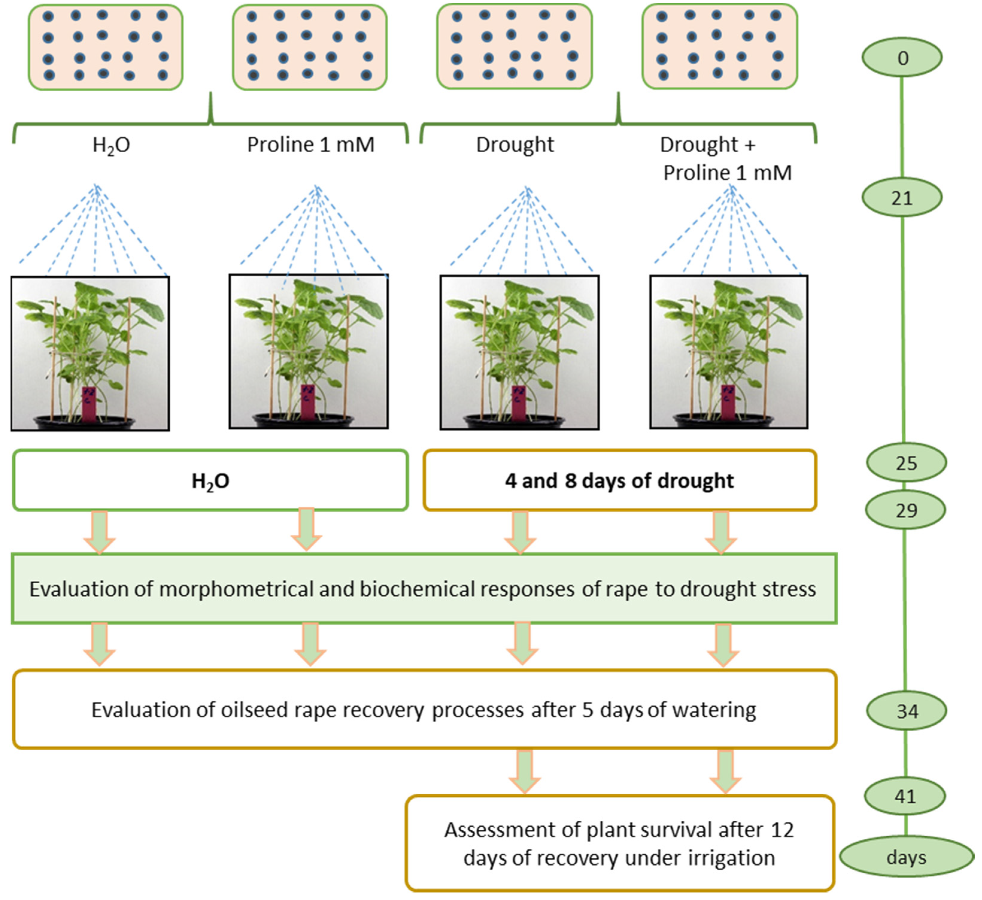 Plants 12 02718 g009 Plants 12 02718 g009