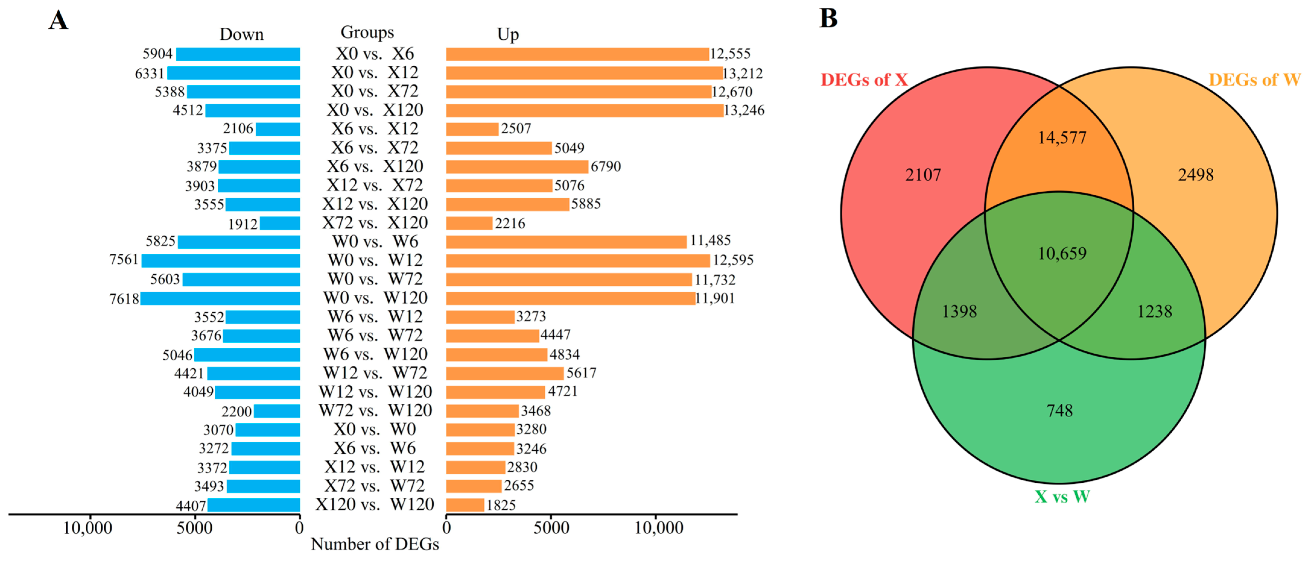 Plants 12 02719 g003 Plants 12 02719 g003