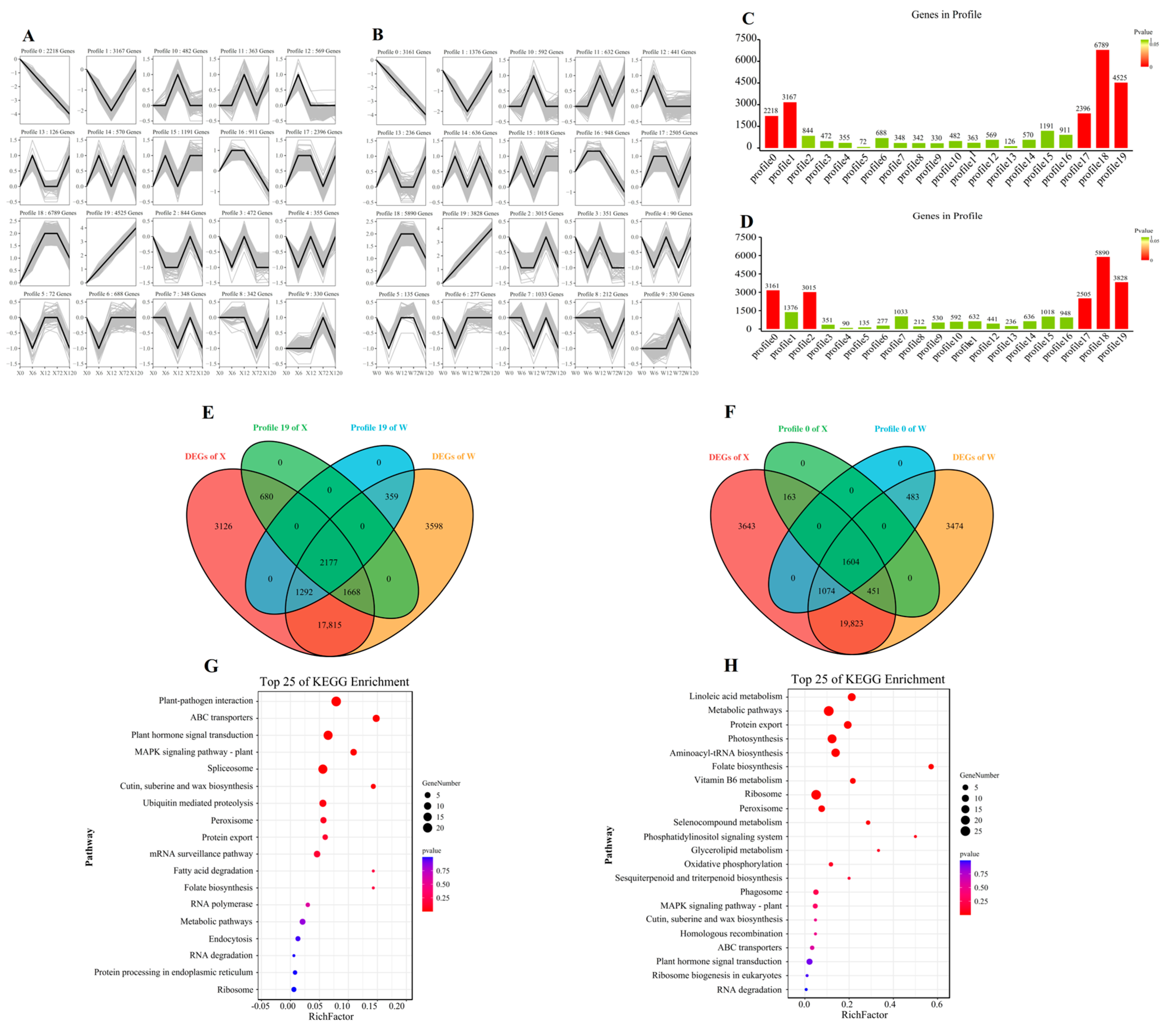 Plants 12 02719 g006 Plants 12 02719 g006