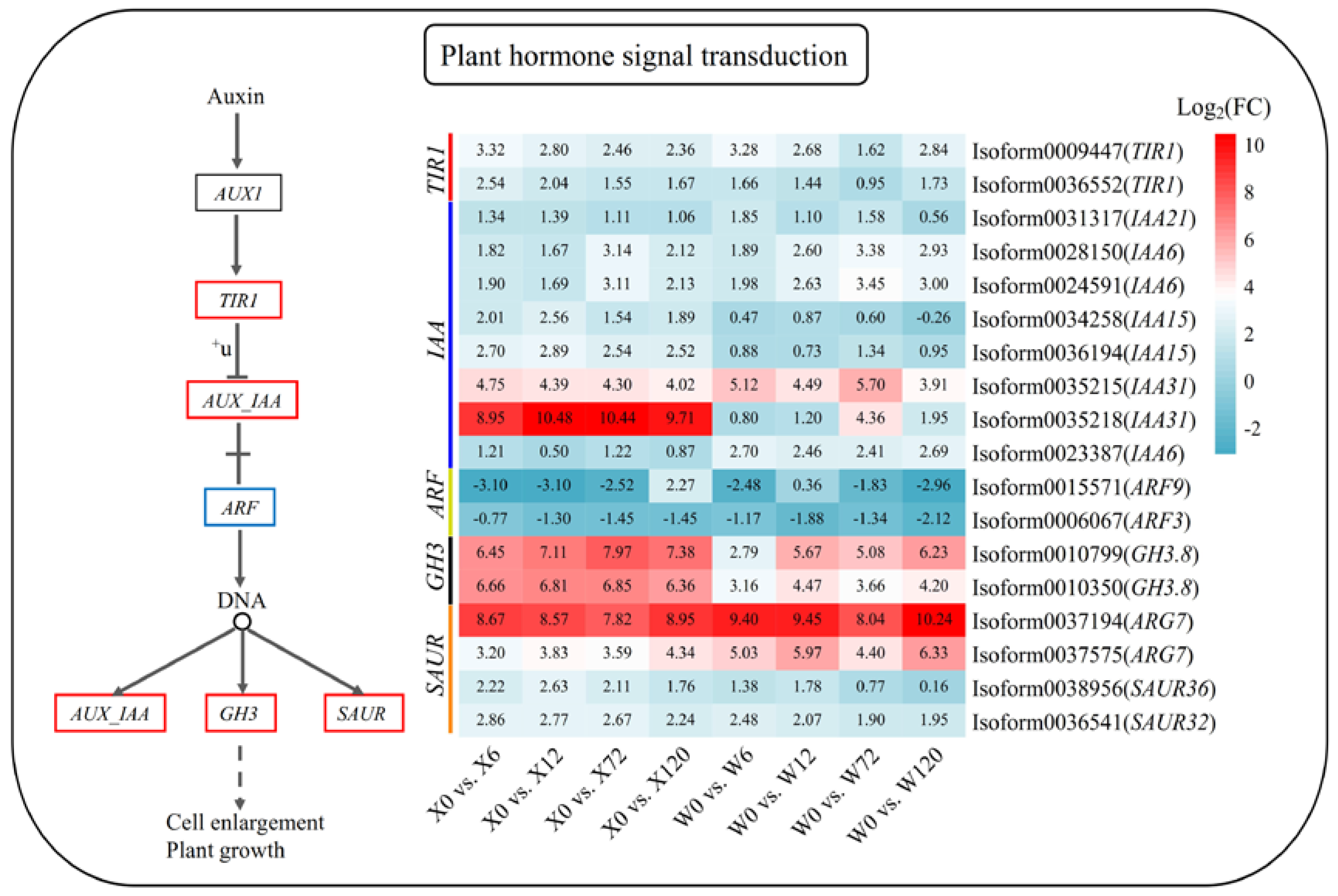 Plants 12 02719 g007 Plants 12 02719 g007