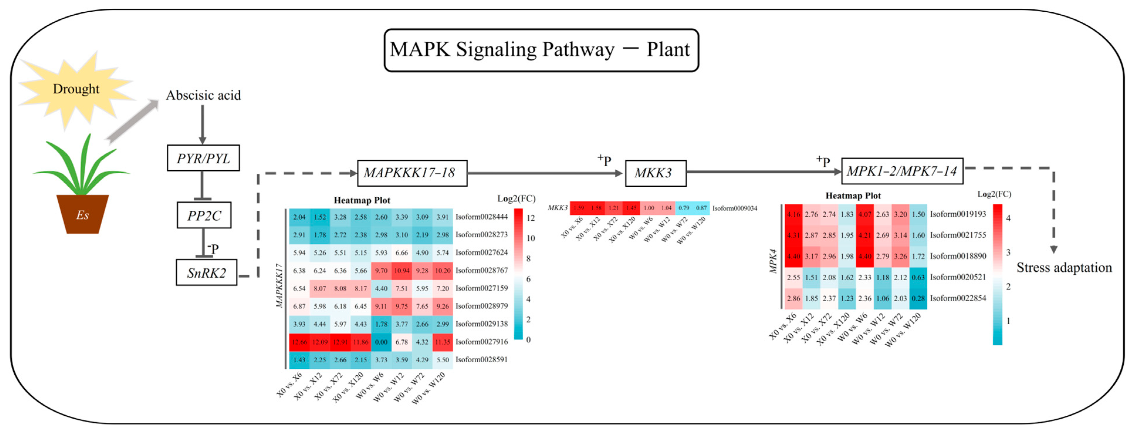 Plants 12 02719 g008 Plants 12 02719 g008
