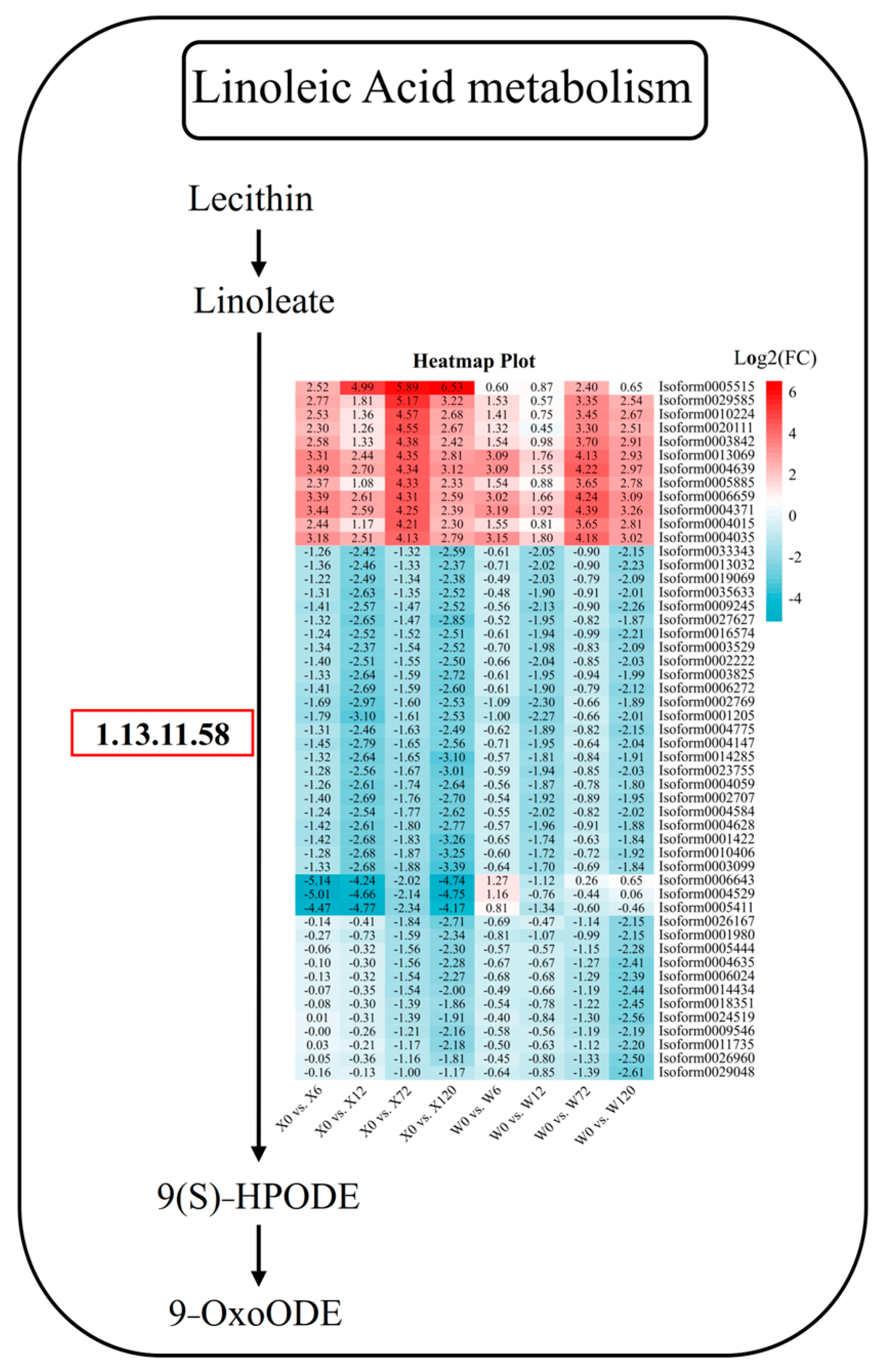 Plants 12 02719 g009 Plants 12 02719 g009