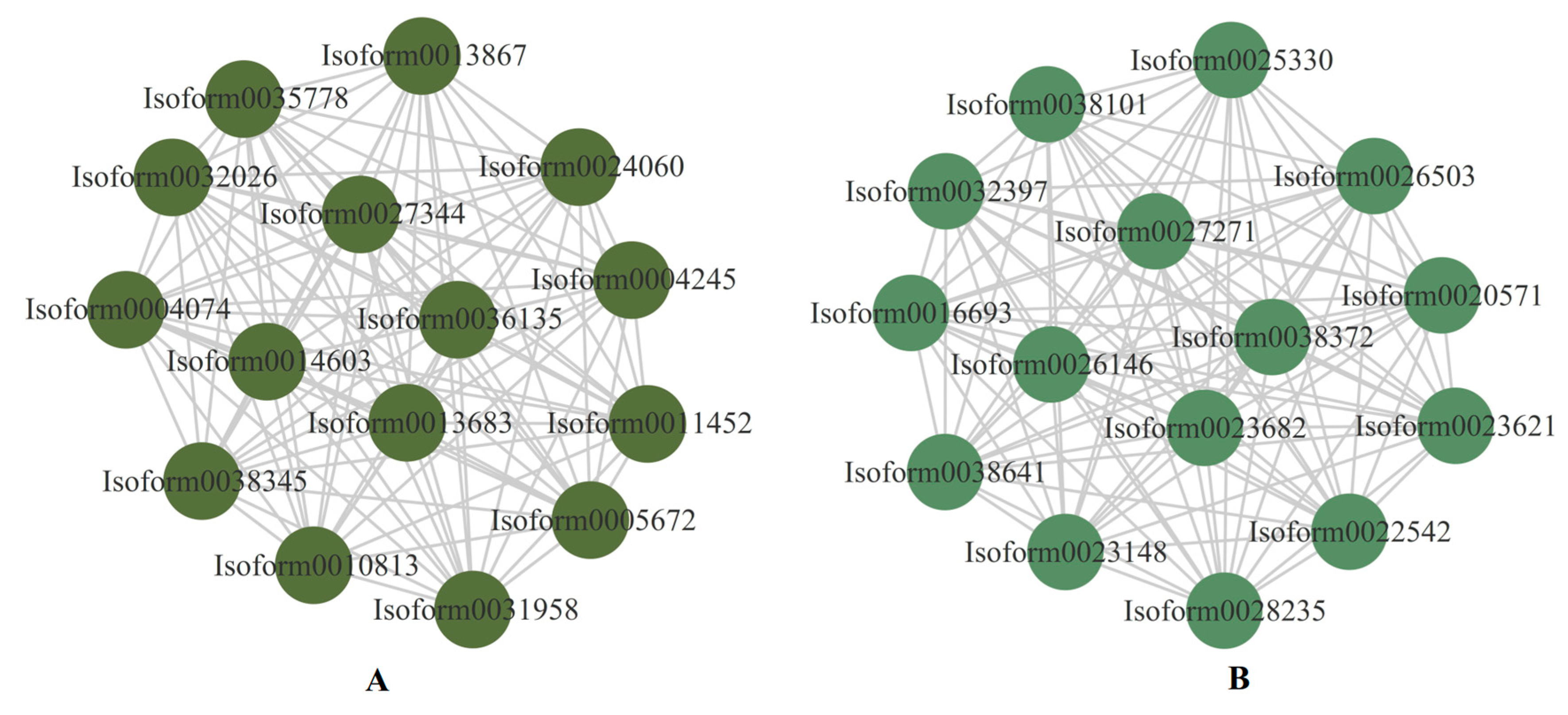 Plants 12 02719 g011 Plants 12 02719 g011