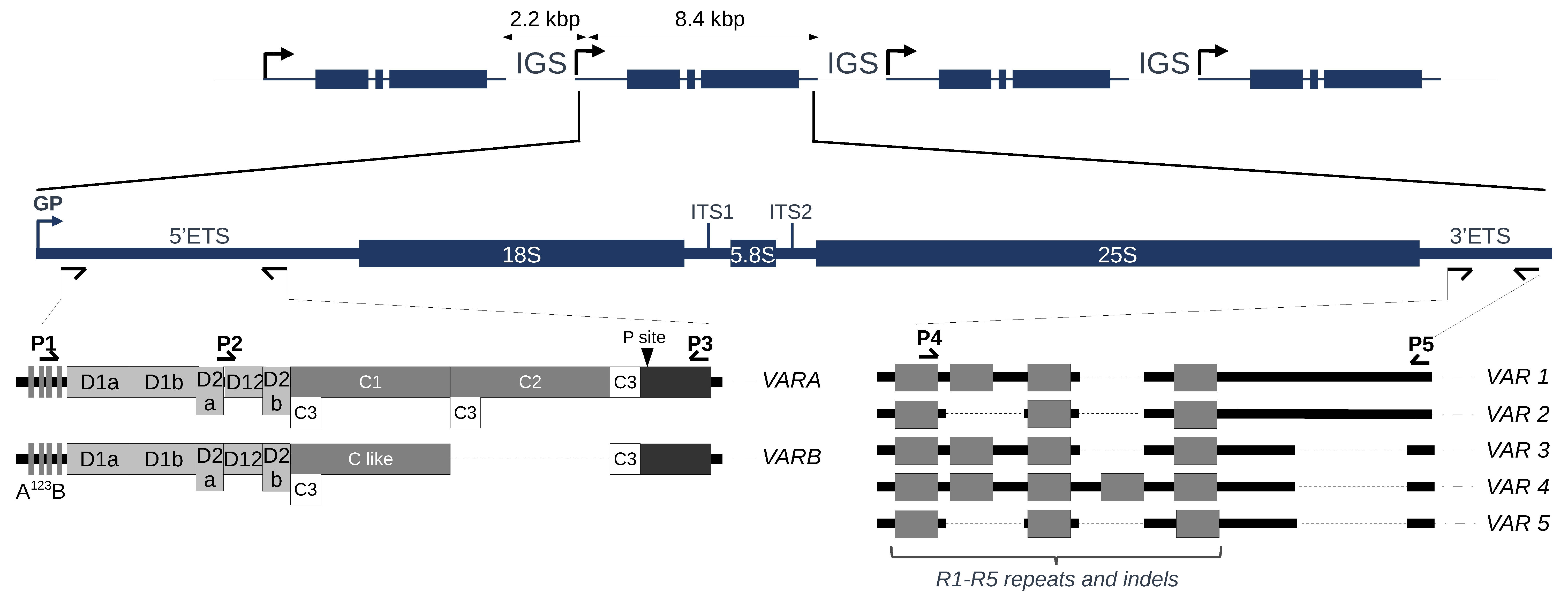 Plants 12 02722 g001