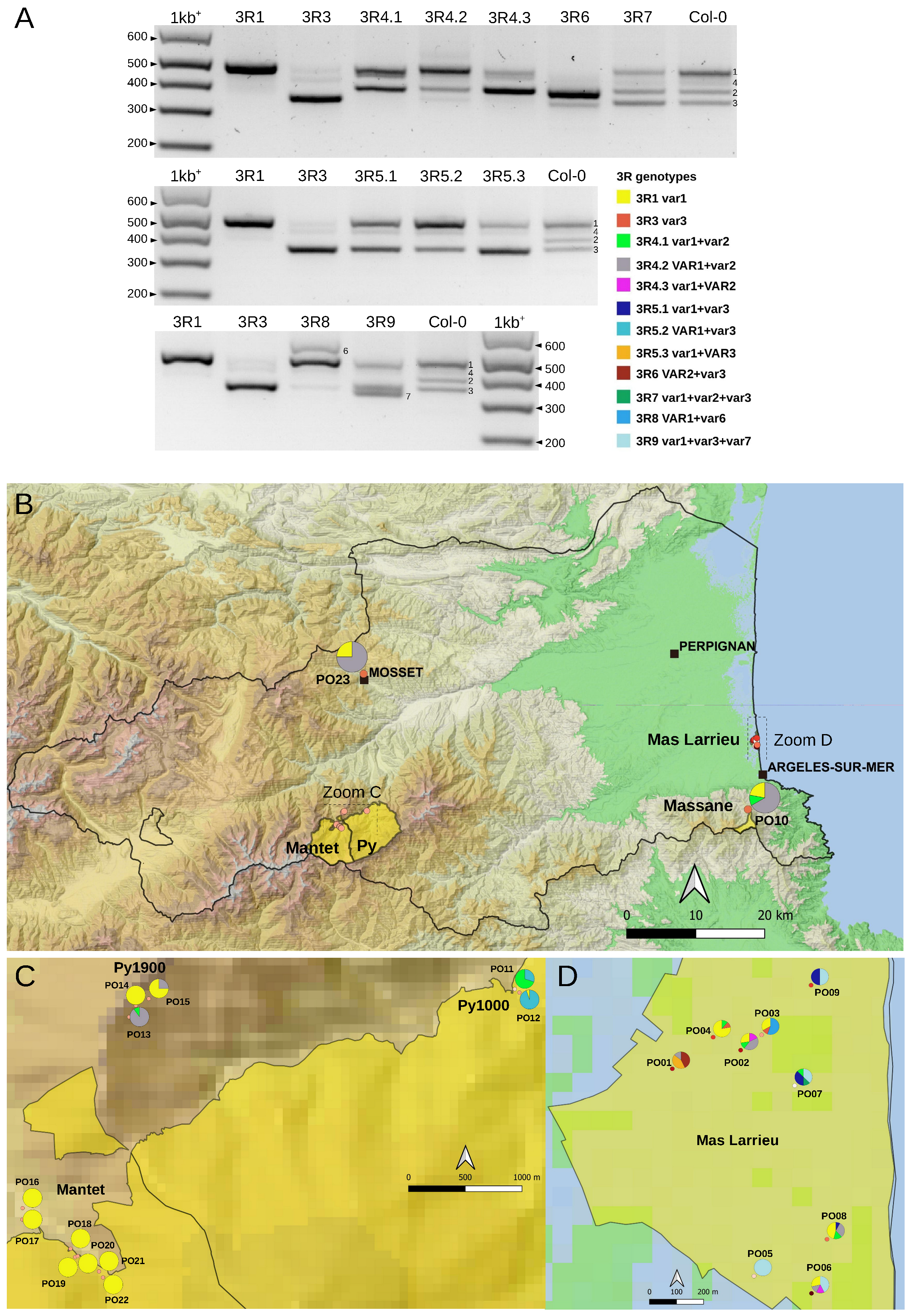 Plants 12 02722 g004