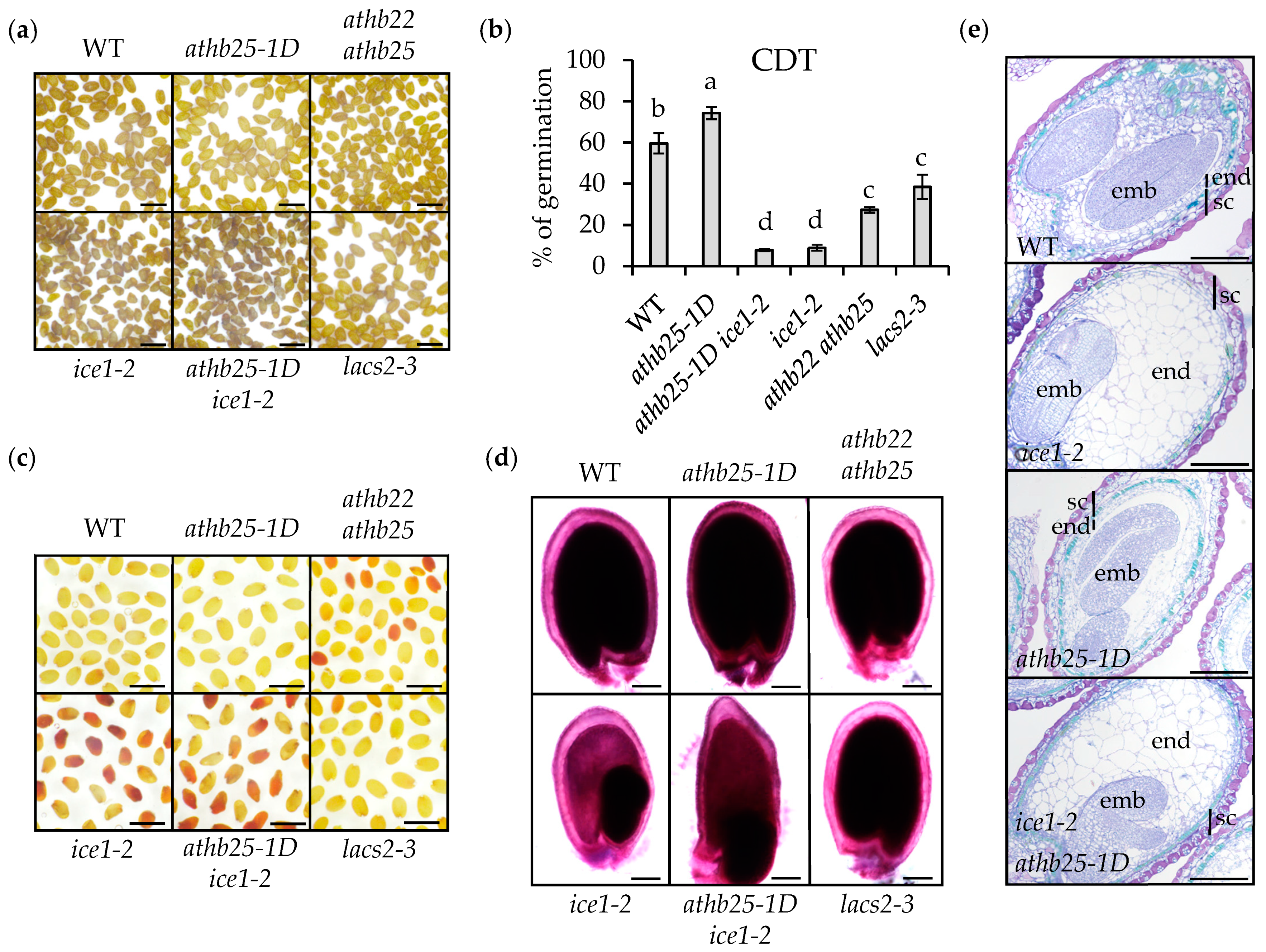 Plants 12 02726 g002 Plants 12 02726 g002