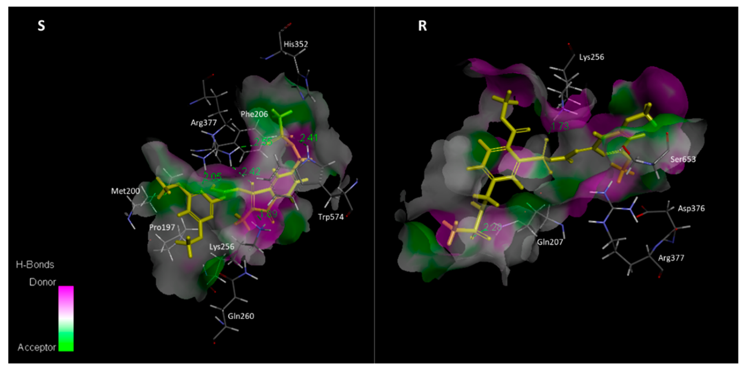 Plants 12 02730 g003 Plants 12 02730 g003