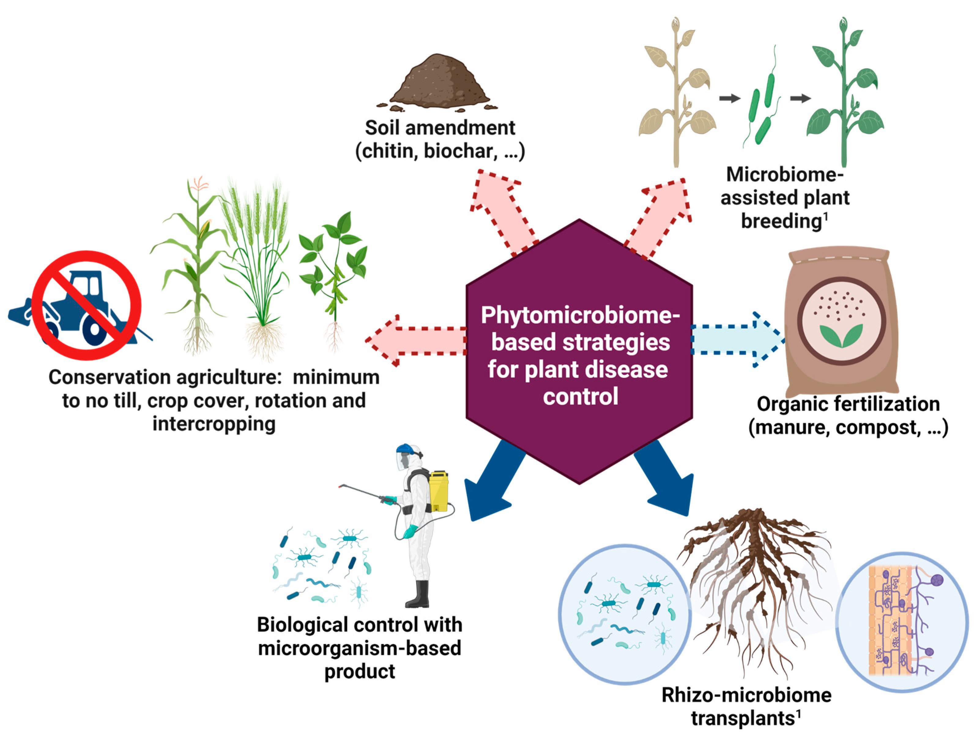 Predicting the Effect of the Removal of a Keystone Species on Biodiversity  Practice, Biology Practice Problems