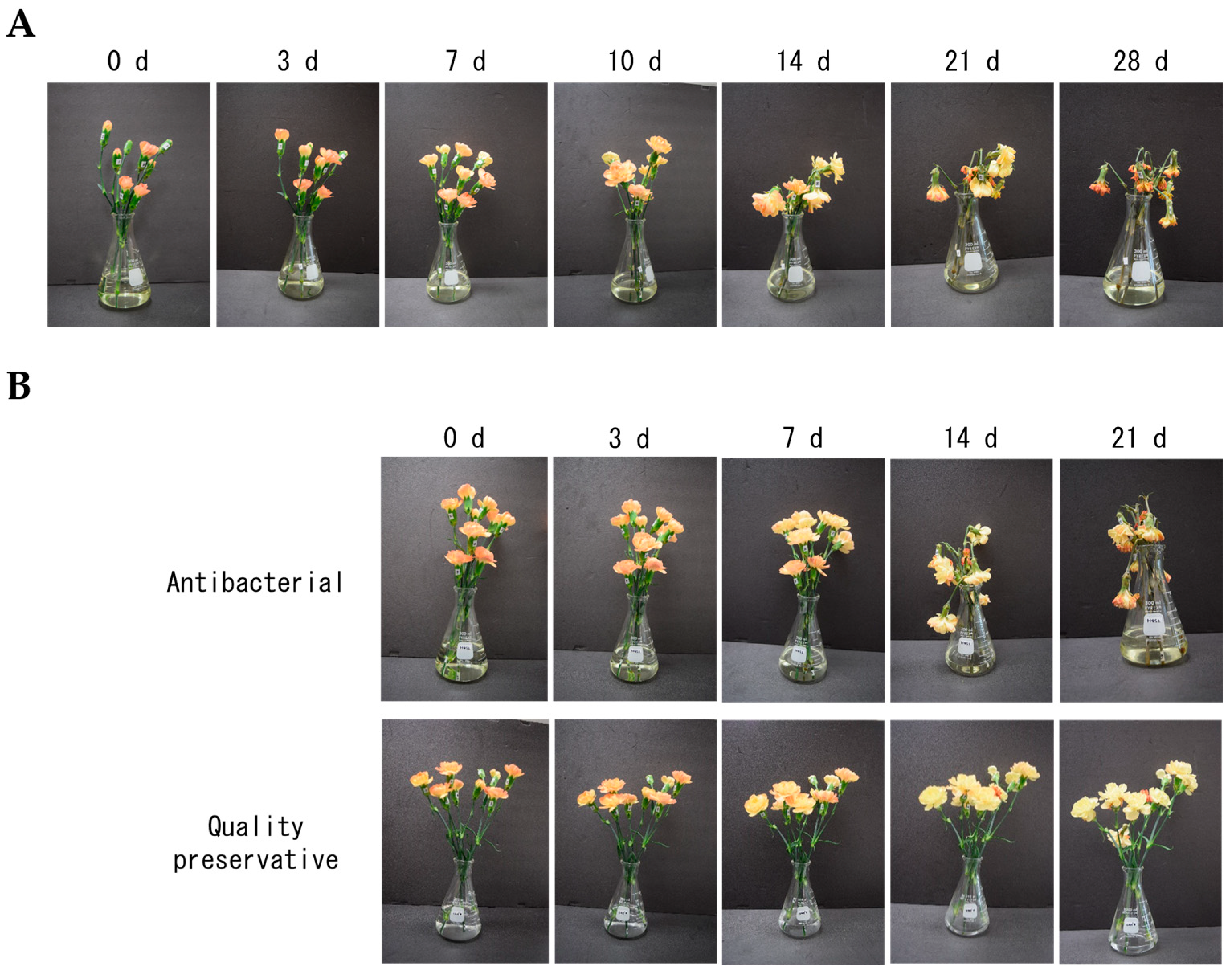 Plants 12 02738 g003 Plants 12 02738 g003