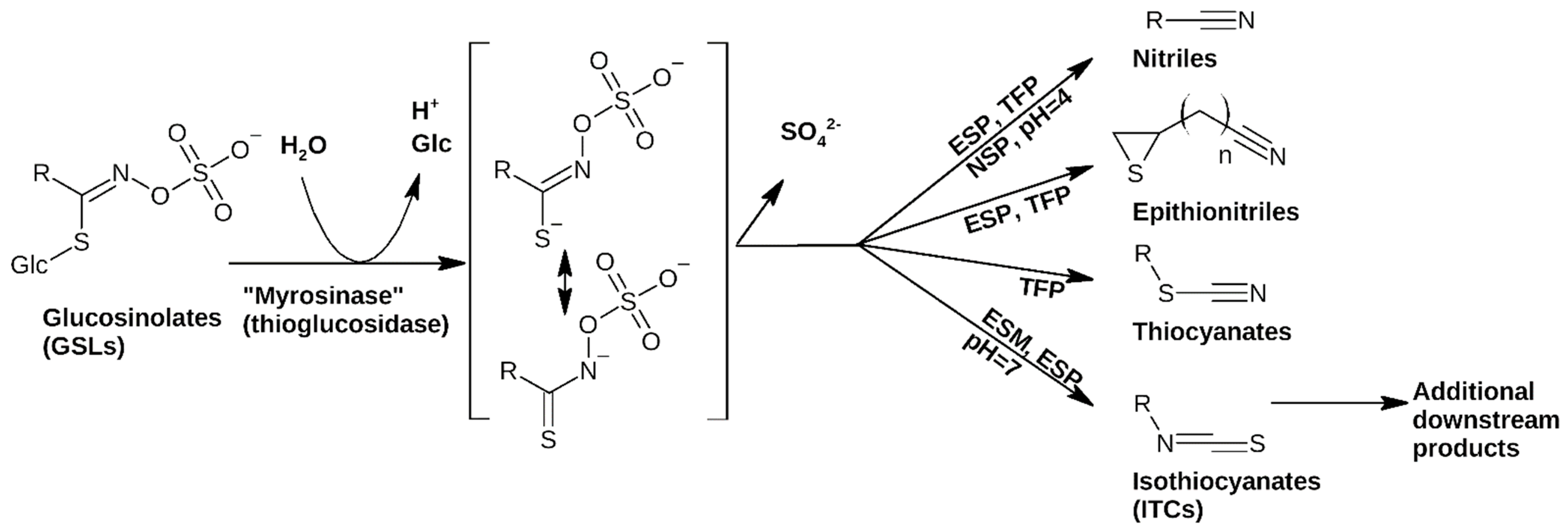 Plants 12 02741 g001 Plants 12 02741 g001