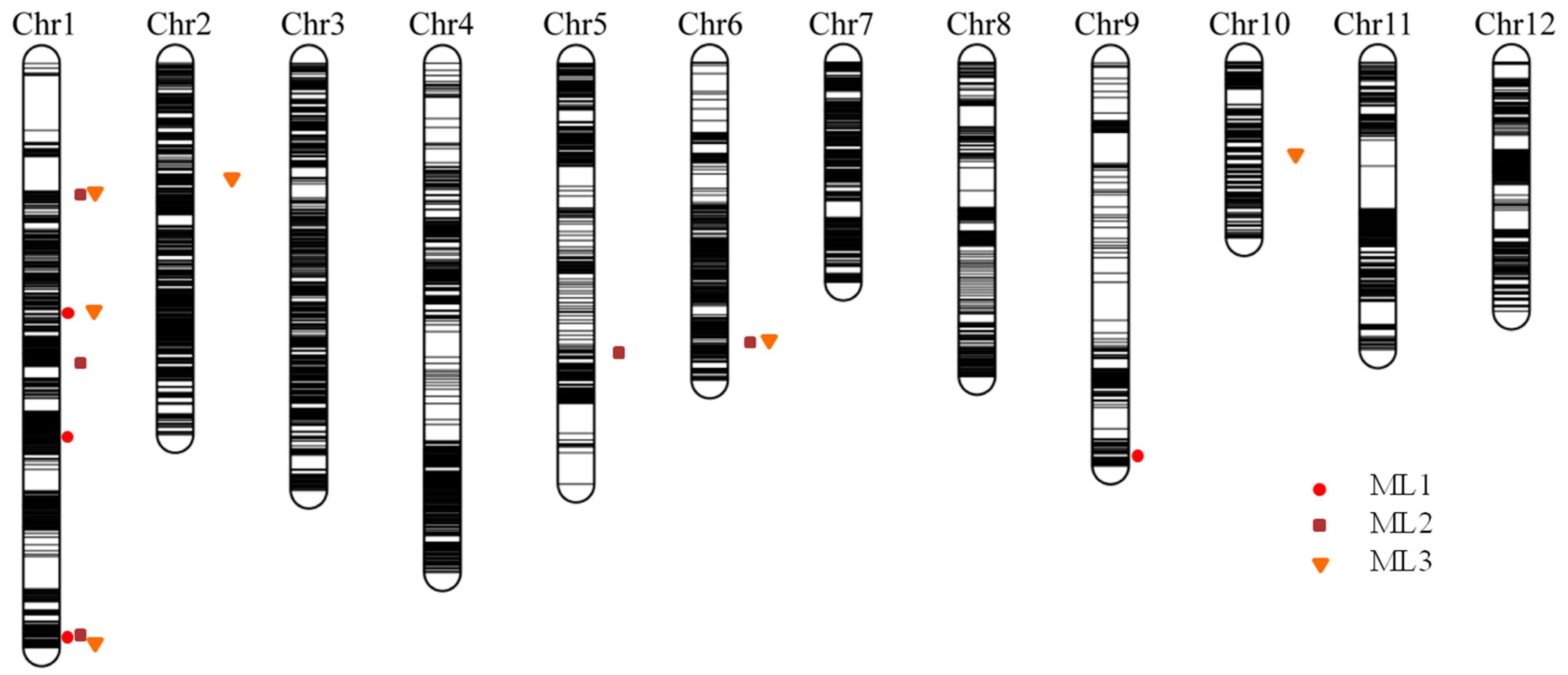 Plants 12 02743 g004 Plants 12 02743 g004