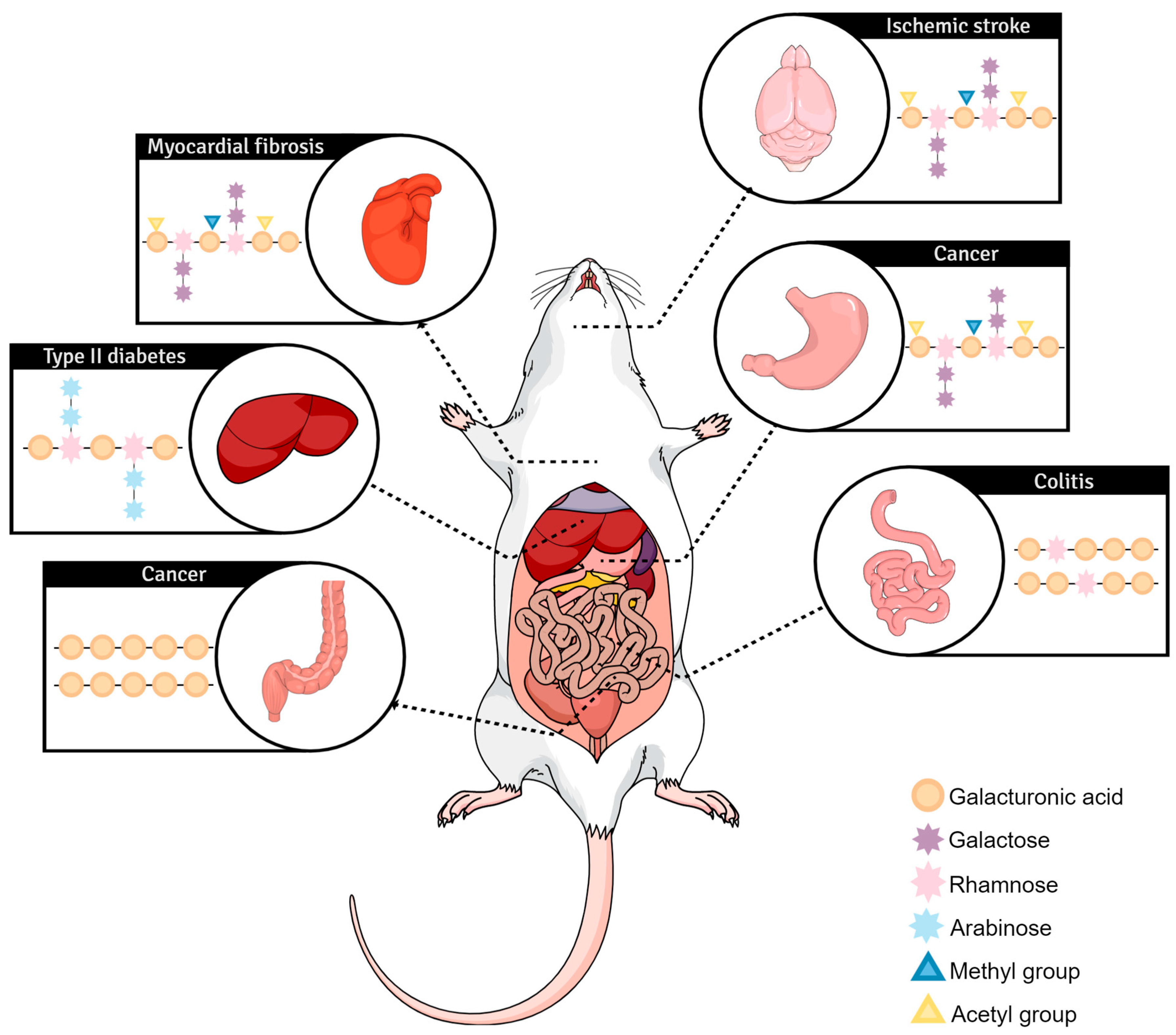 Plants 12 02750 g002