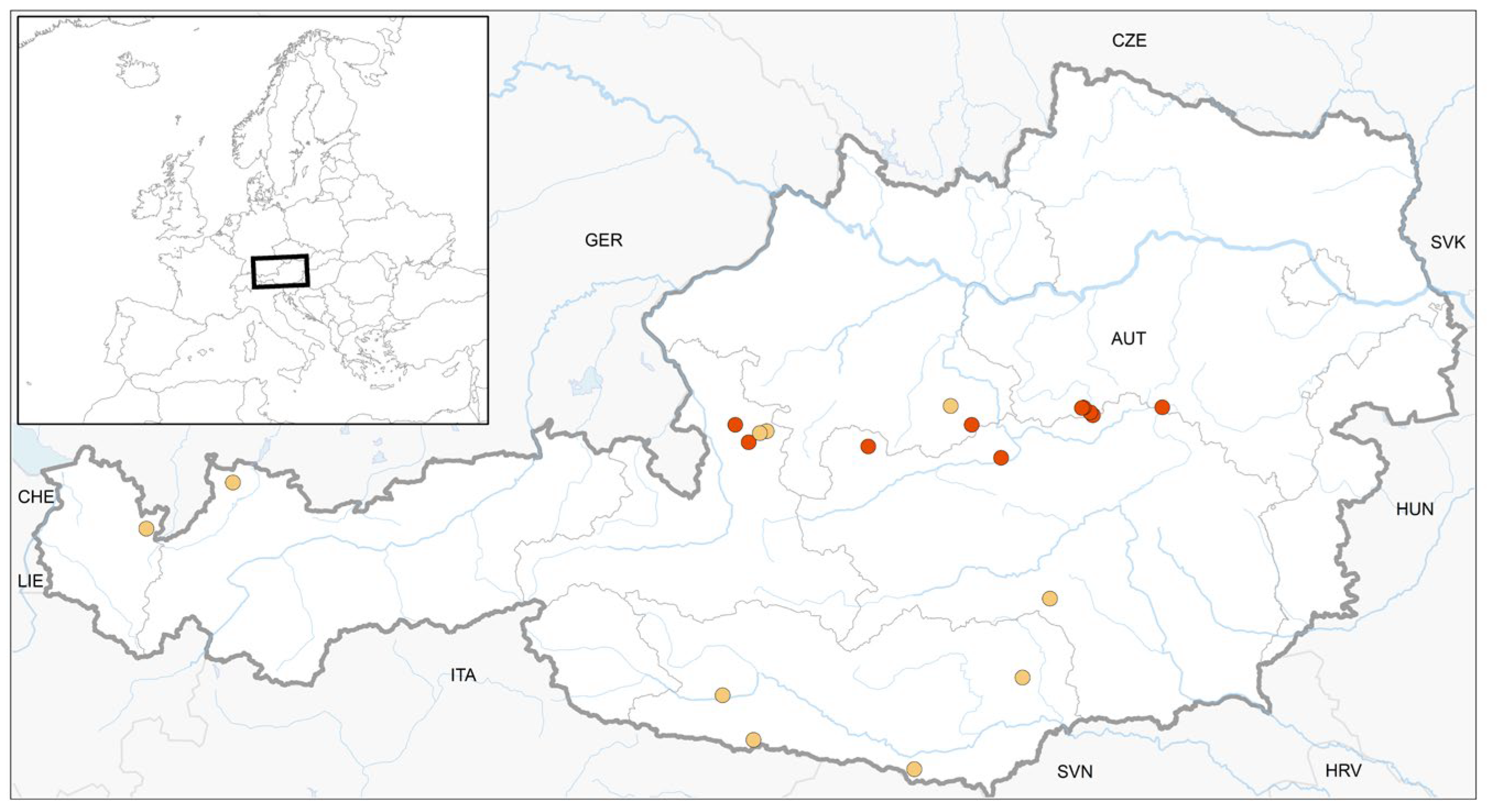 Plants 12 02753 g001