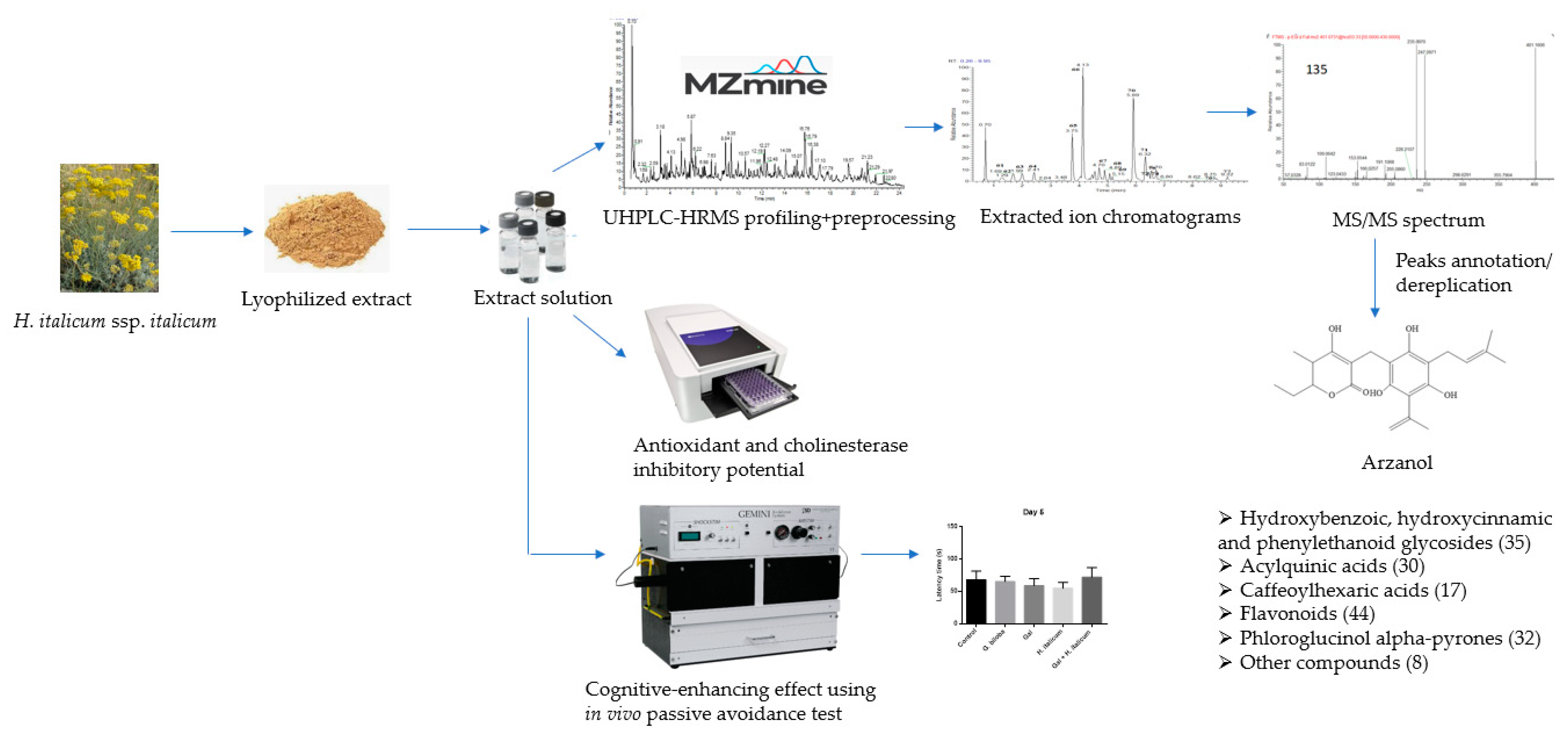 Plants 12 02755 g001 Plants 12 02755 g001