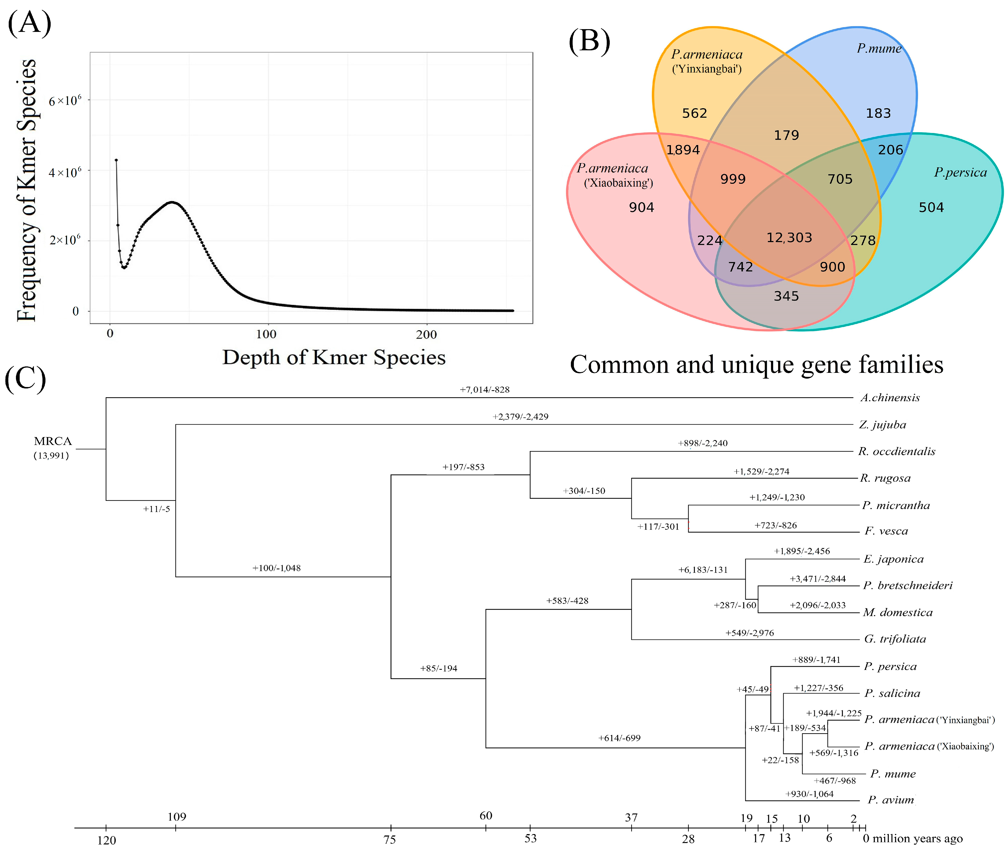 Plants 12 02756 g001 Plants 12 02756 g001