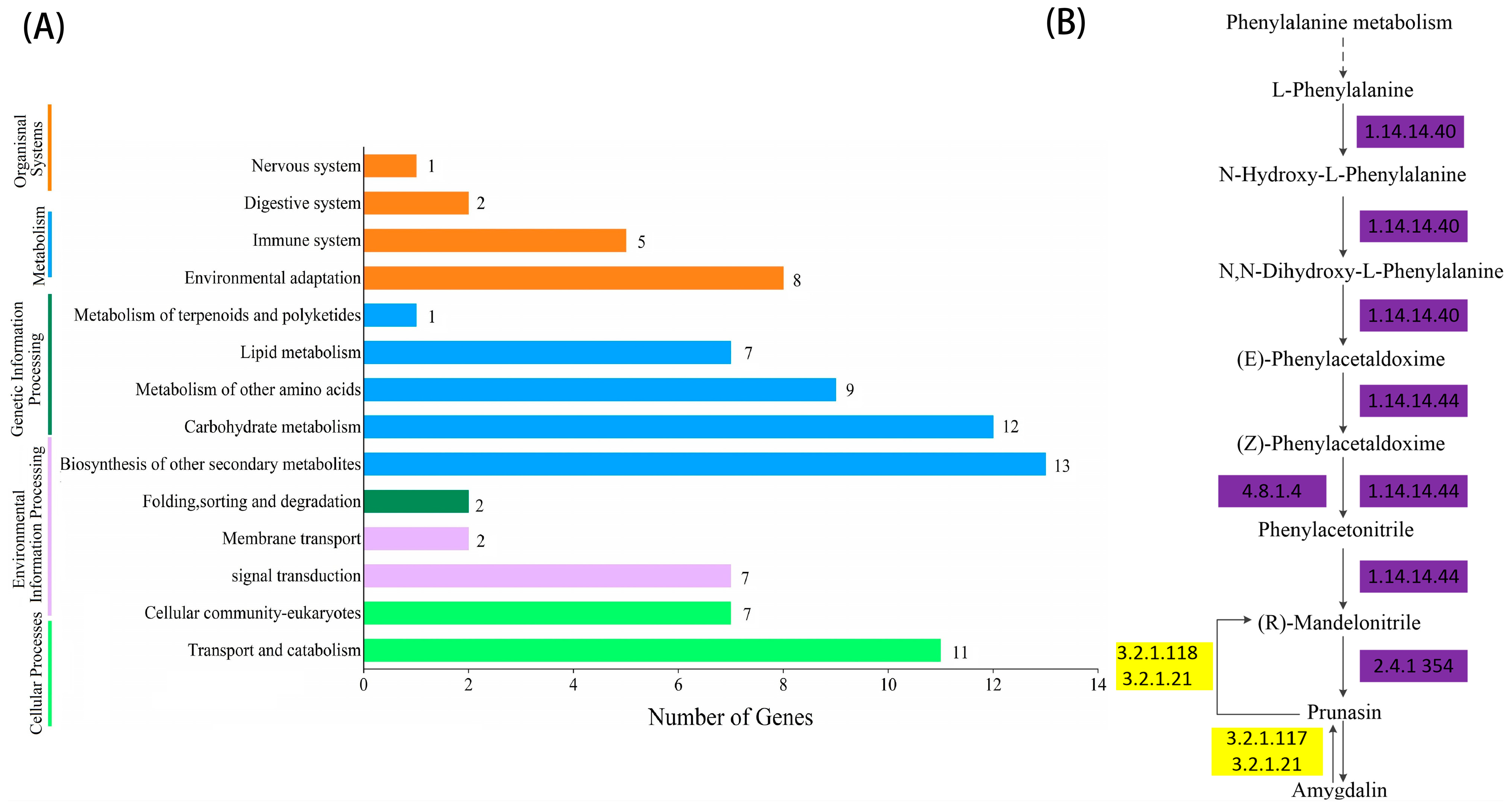 Plants 12 02756 g002 Plants 12 02756 g002