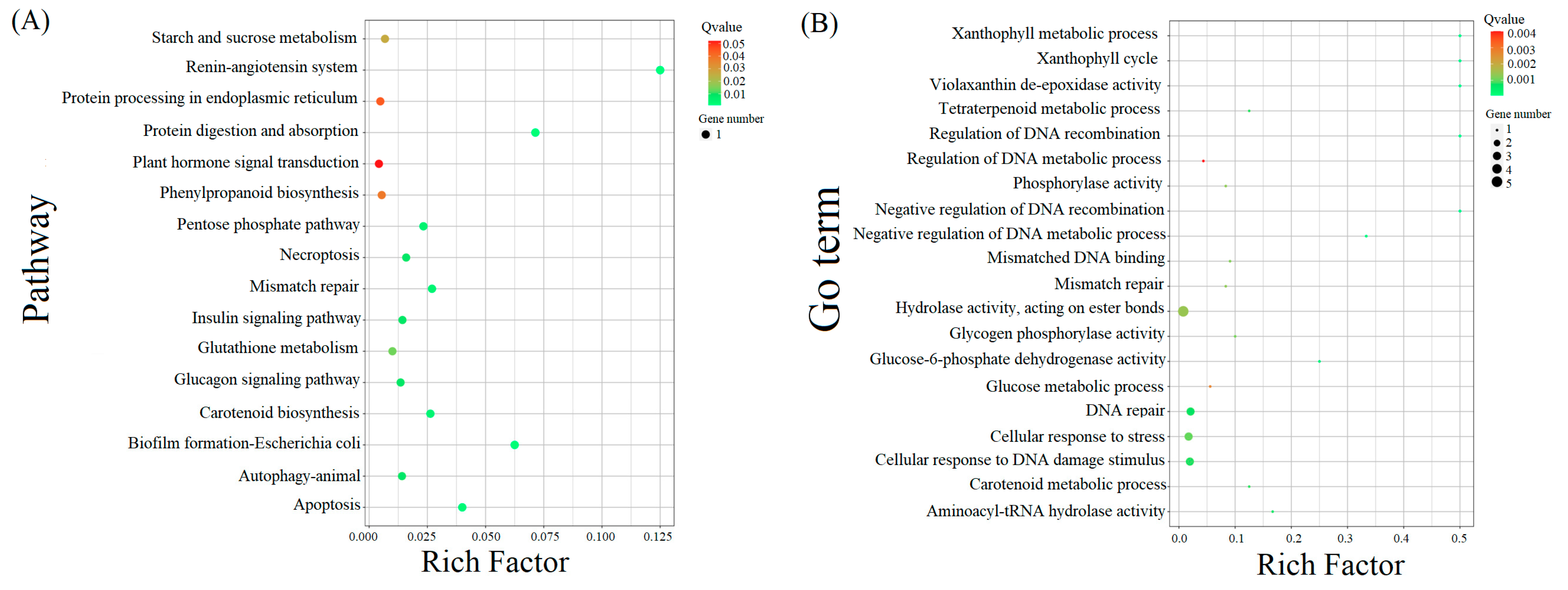 Plants 12 02756 g004 Plants 12 02756 g004