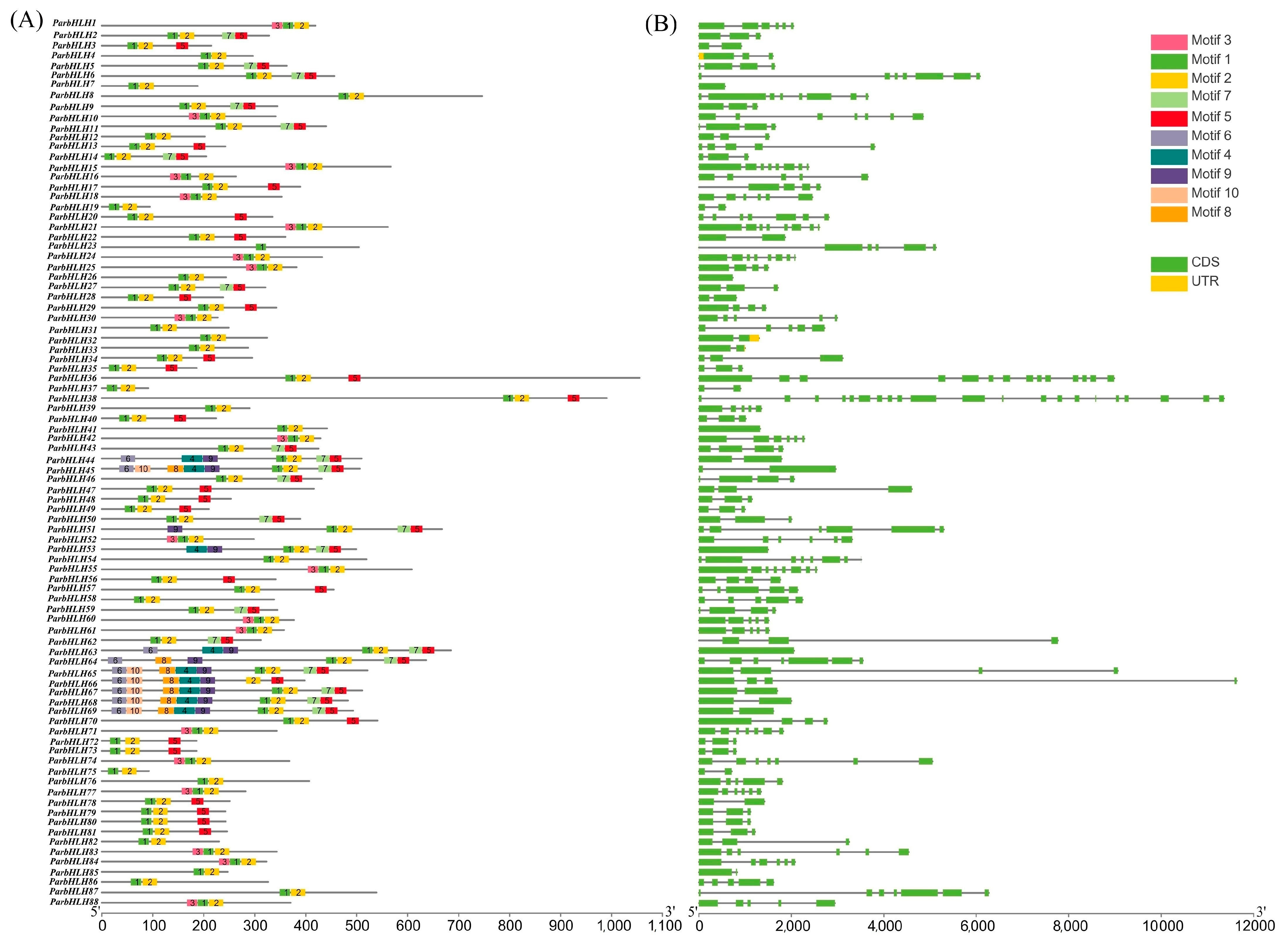 Plants 12 02756 g006 Plants 12 02756 g006