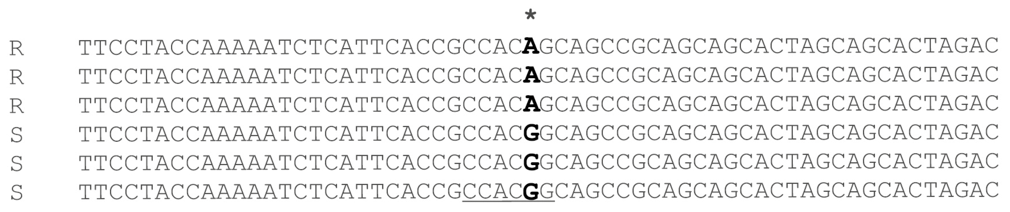 Plants 12 02757 g001