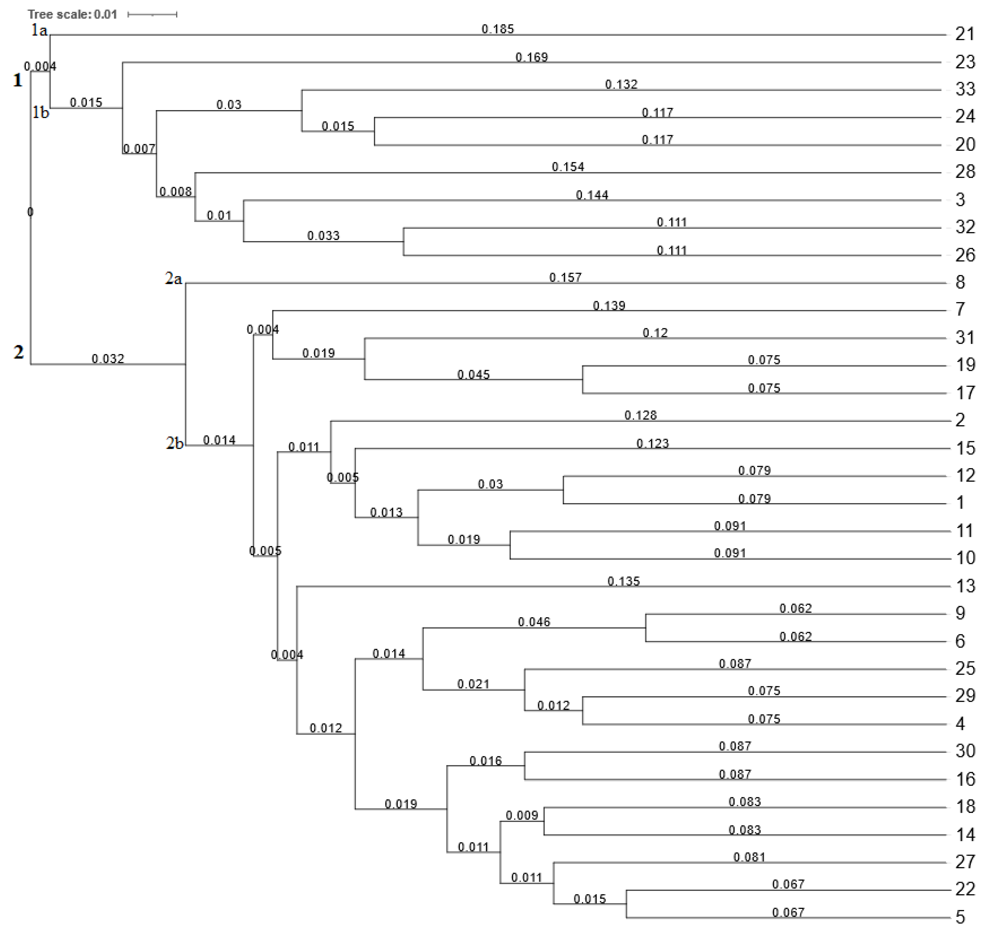 Plants 12 02763 g002