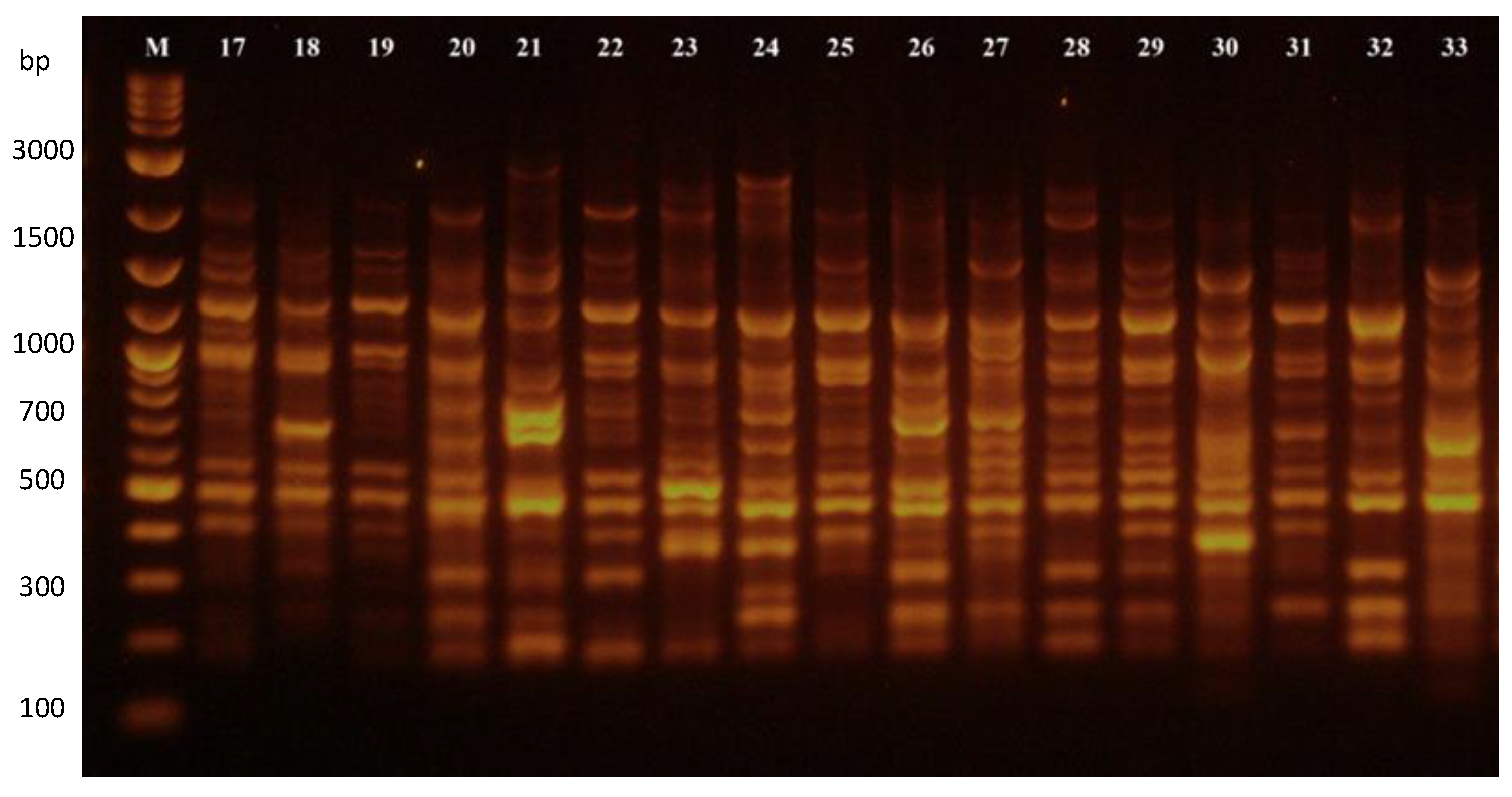 Plants 12 02763 g003