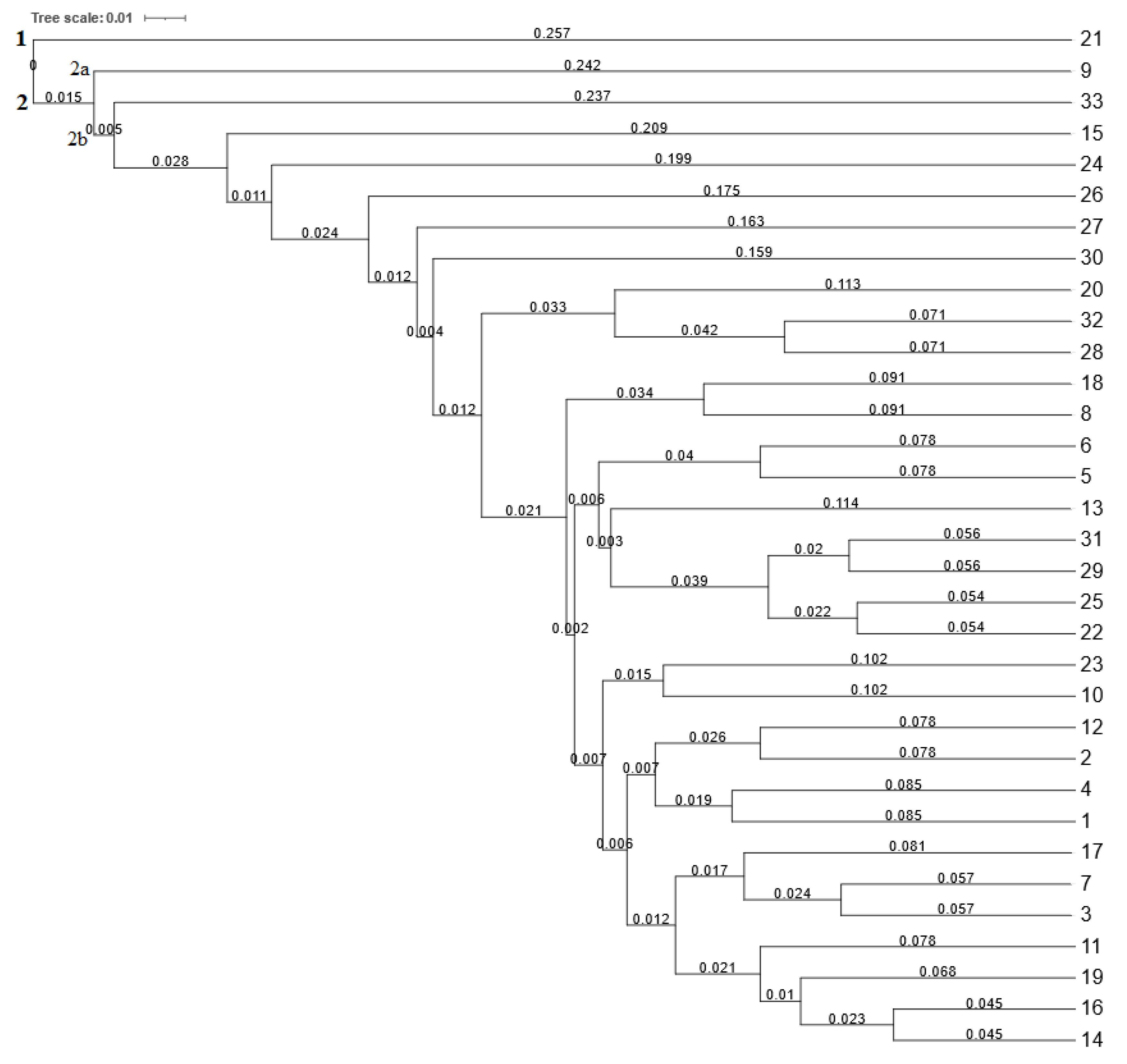 Plants 12 02763 g004