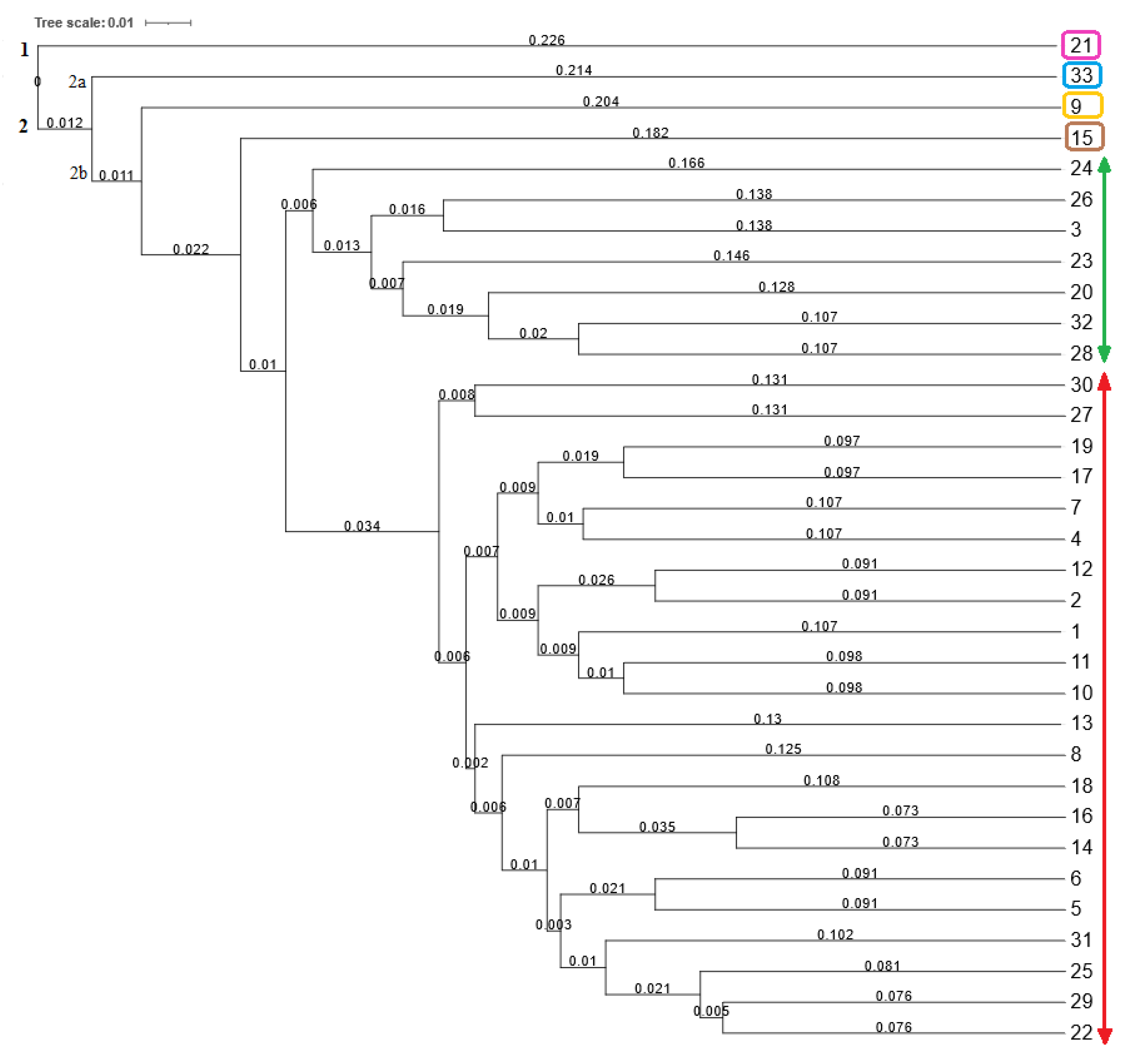 Plants 12 02763 g005