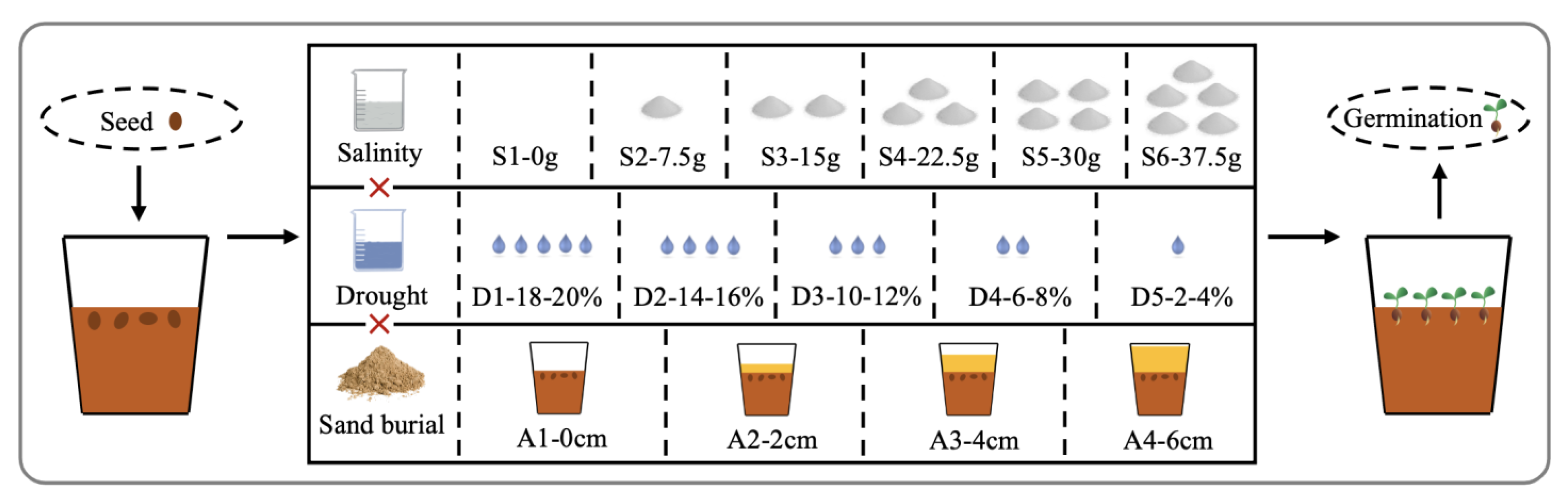 Plants 12 02766 g003