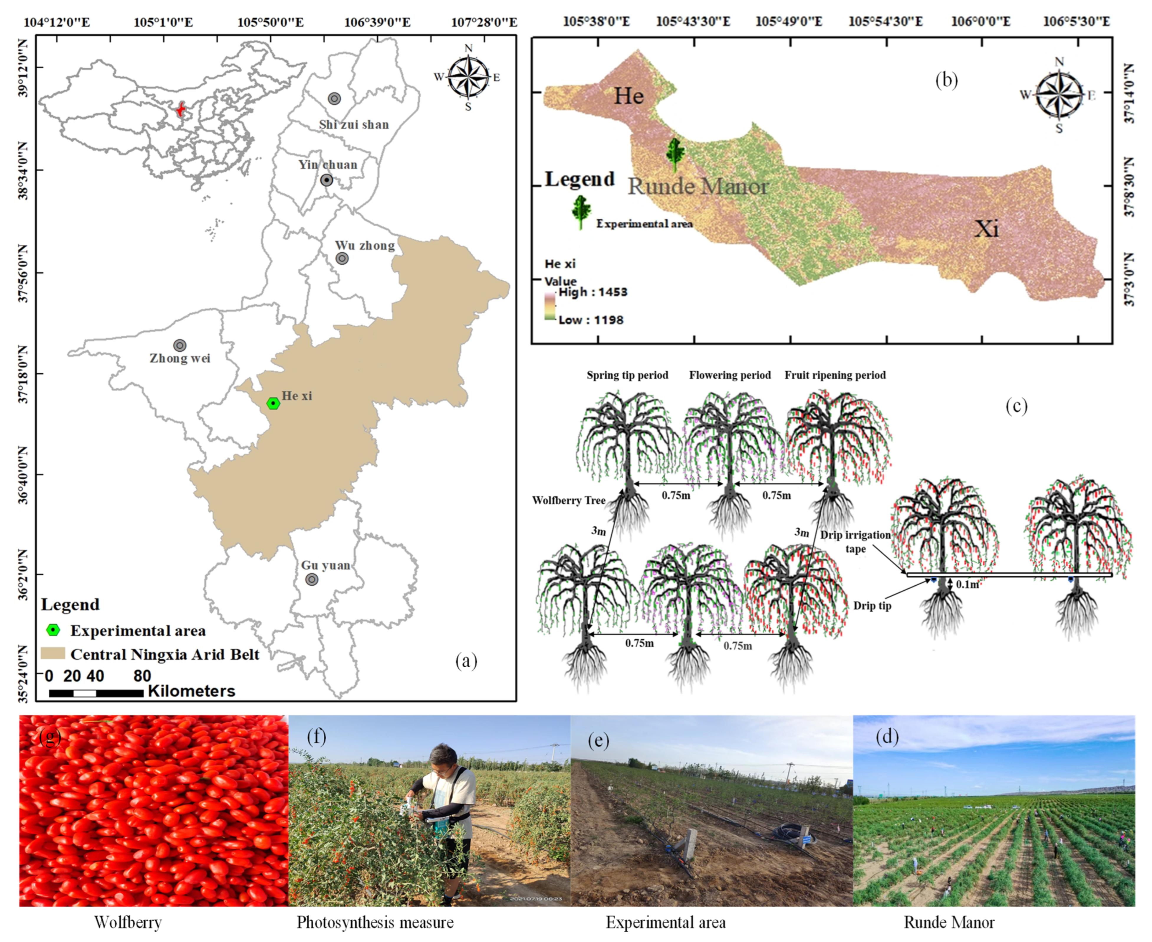 Plants 12 02768 g008 Plants 12 02768 g008