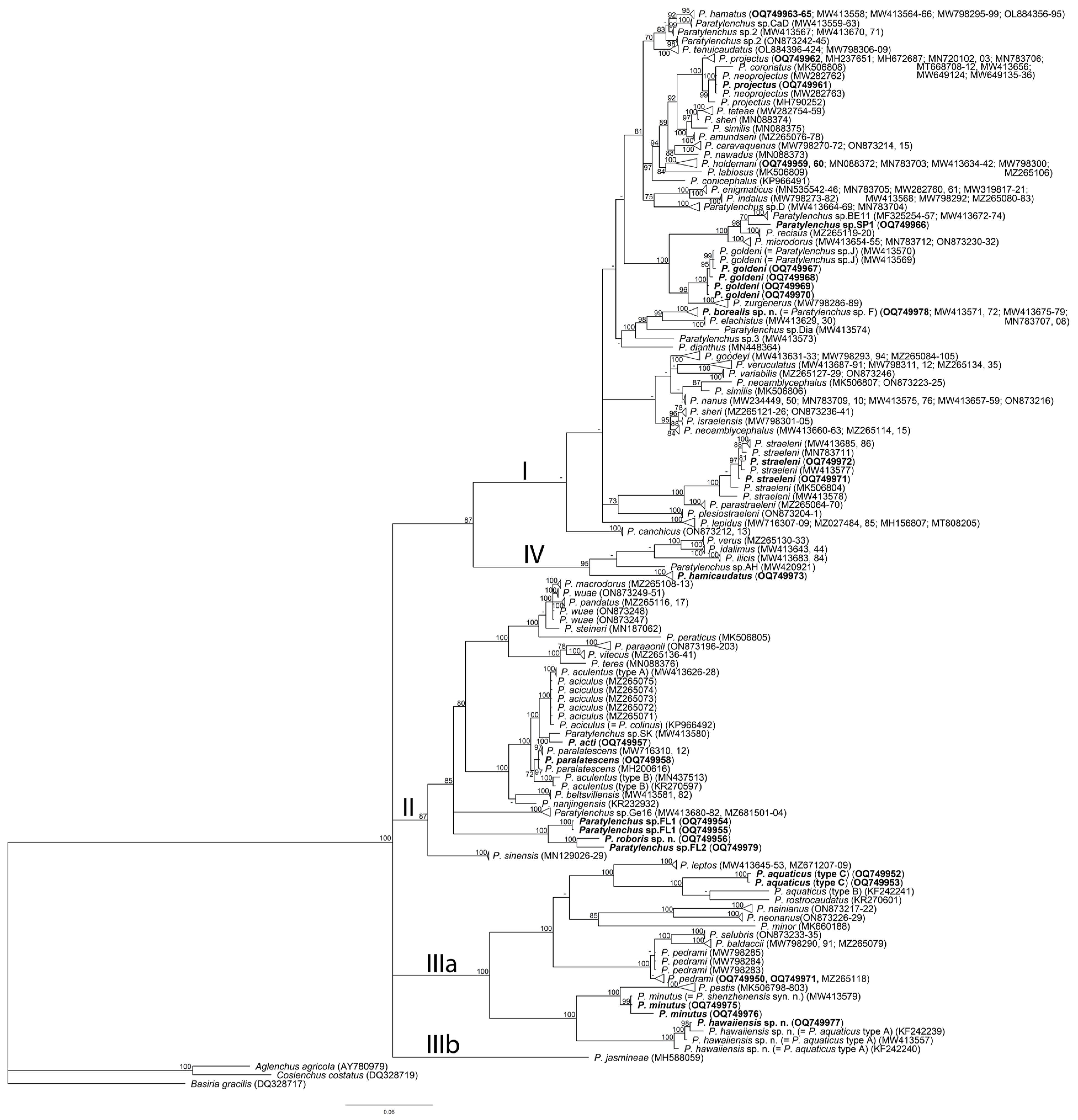Plants 12 02770 g003 Plants 12 02770 g003