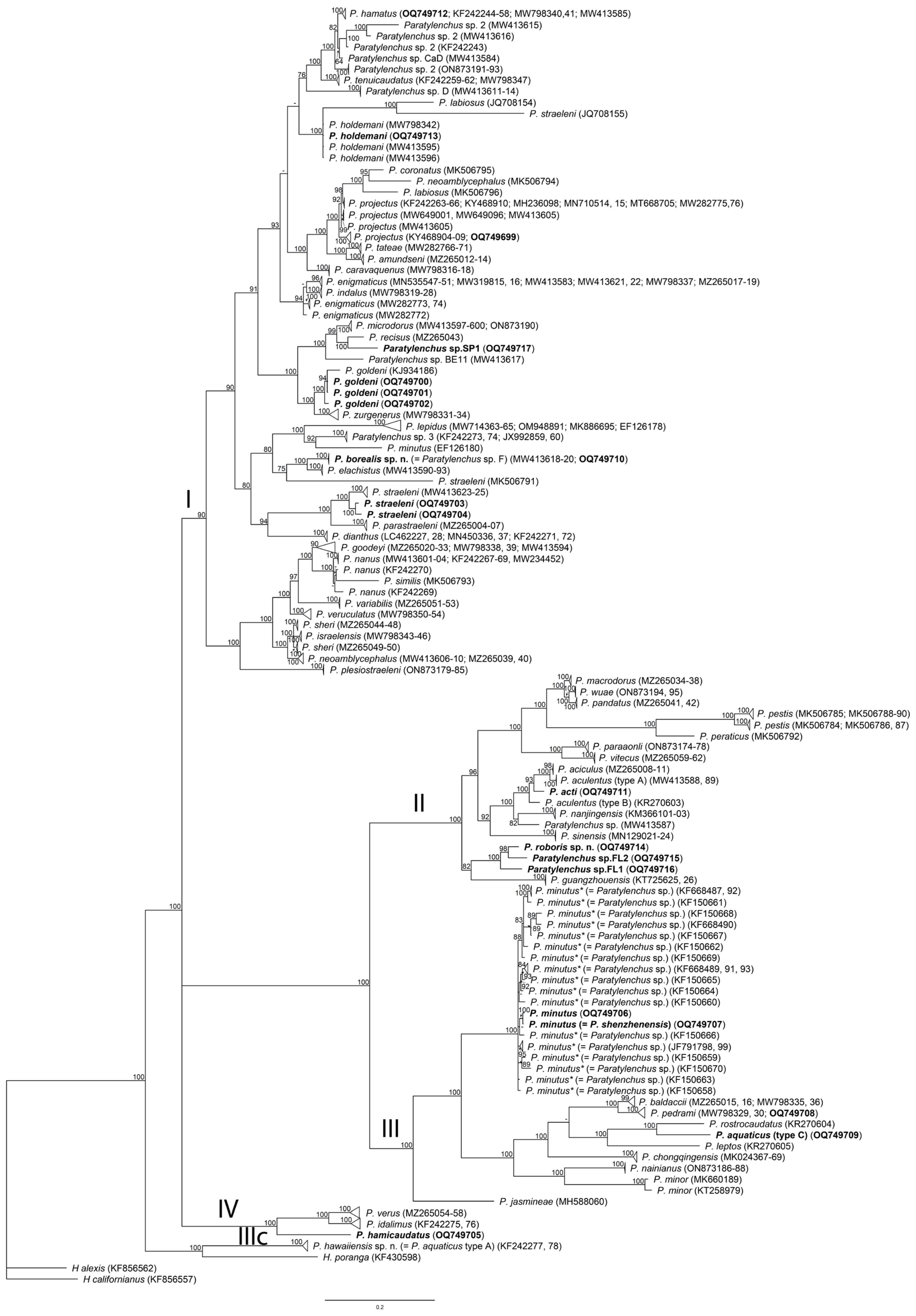 Plants 12 02770 g004 Plants 12 02770 g004
