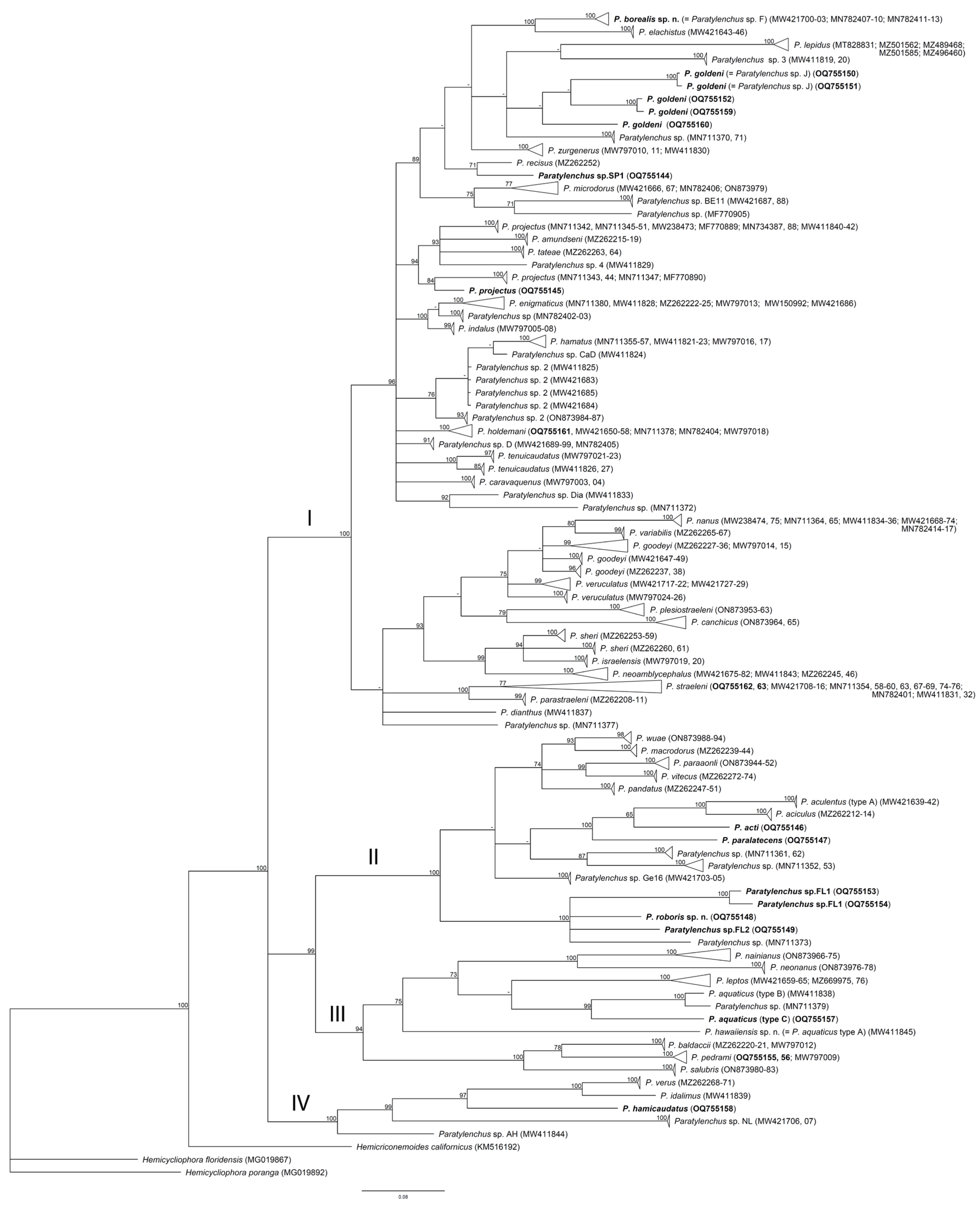 Plants 12 02770 g012 Plants 12 02770 g012