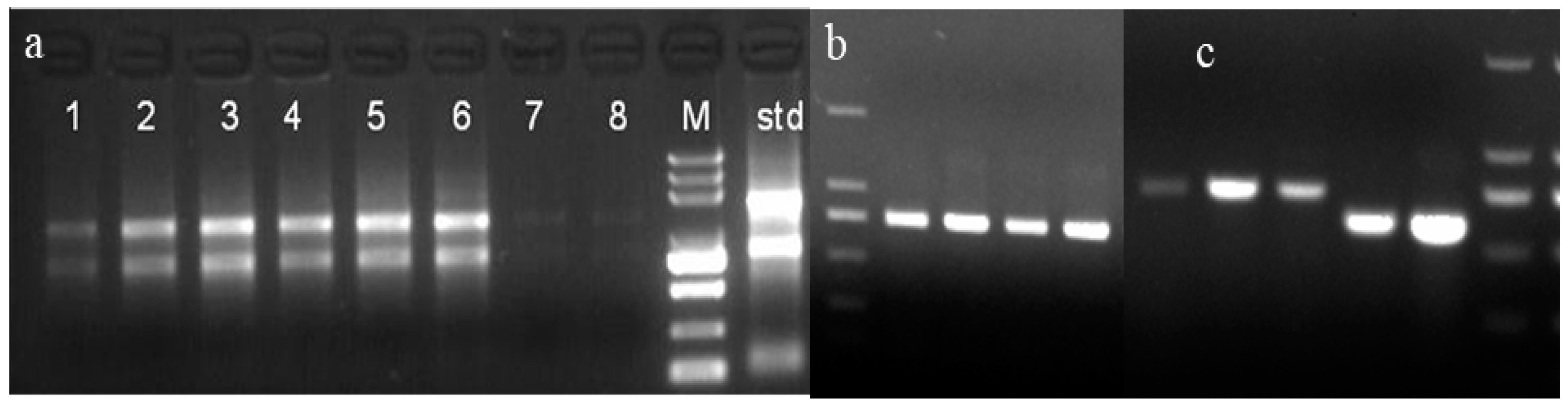 Plants 12 02772 g001 Plants 12 02772 g001