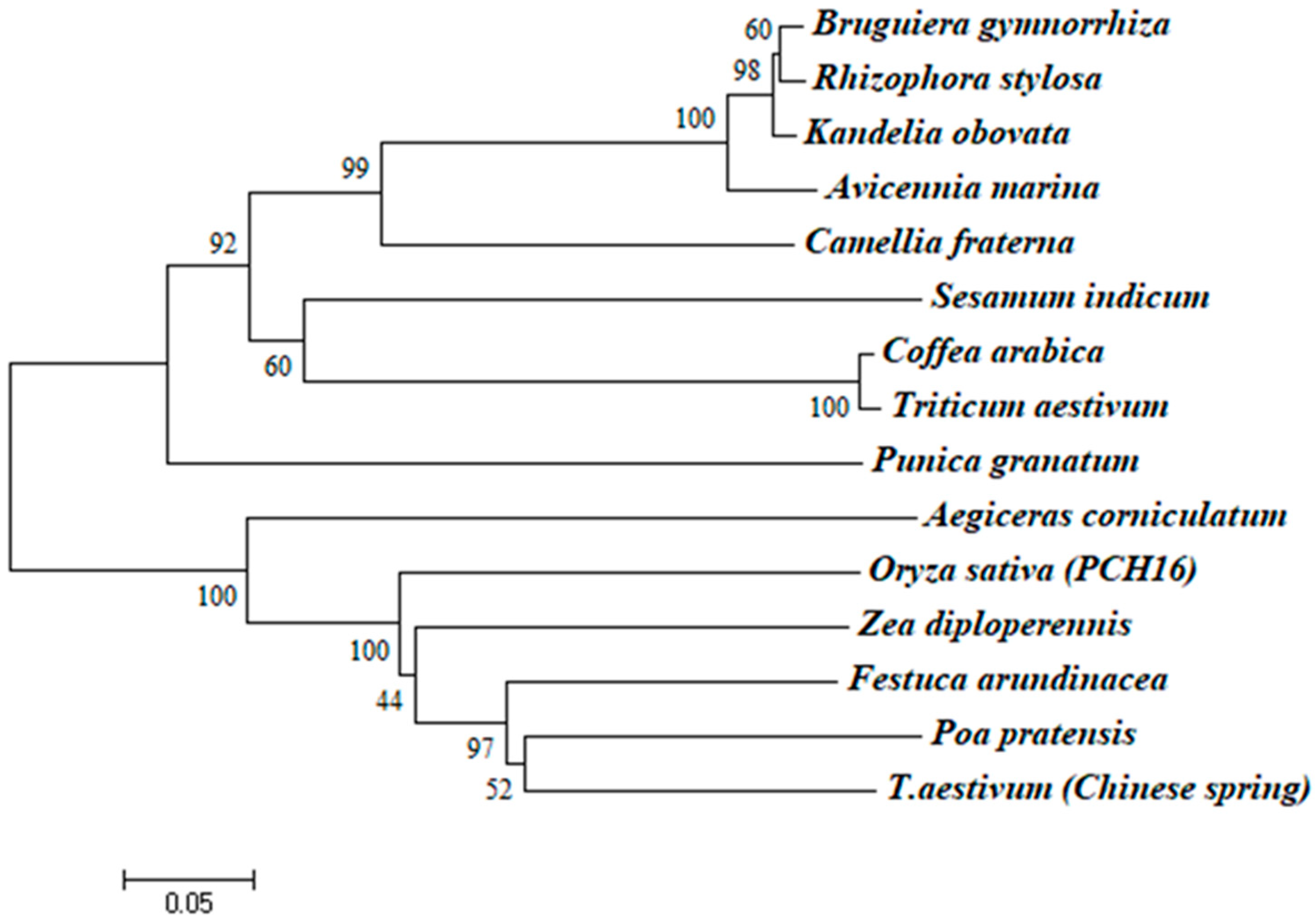 Plants 12 02772 g003 Plants 12 02772 g003