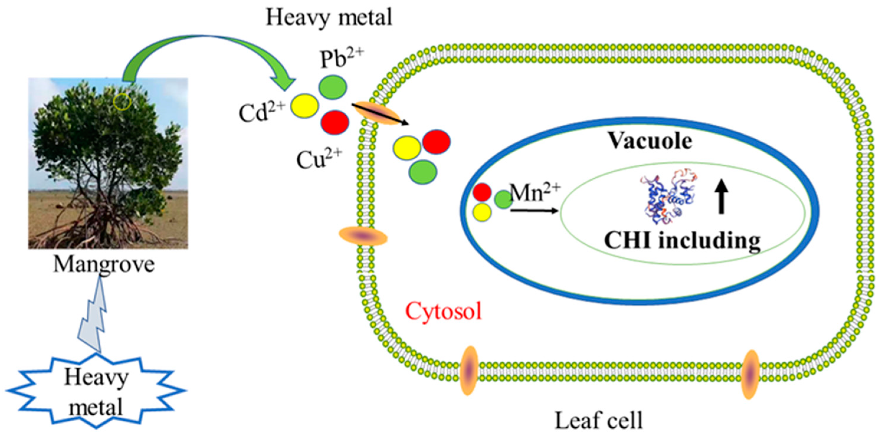 Plants 12 02772 g007 Plants 12 02772 g007