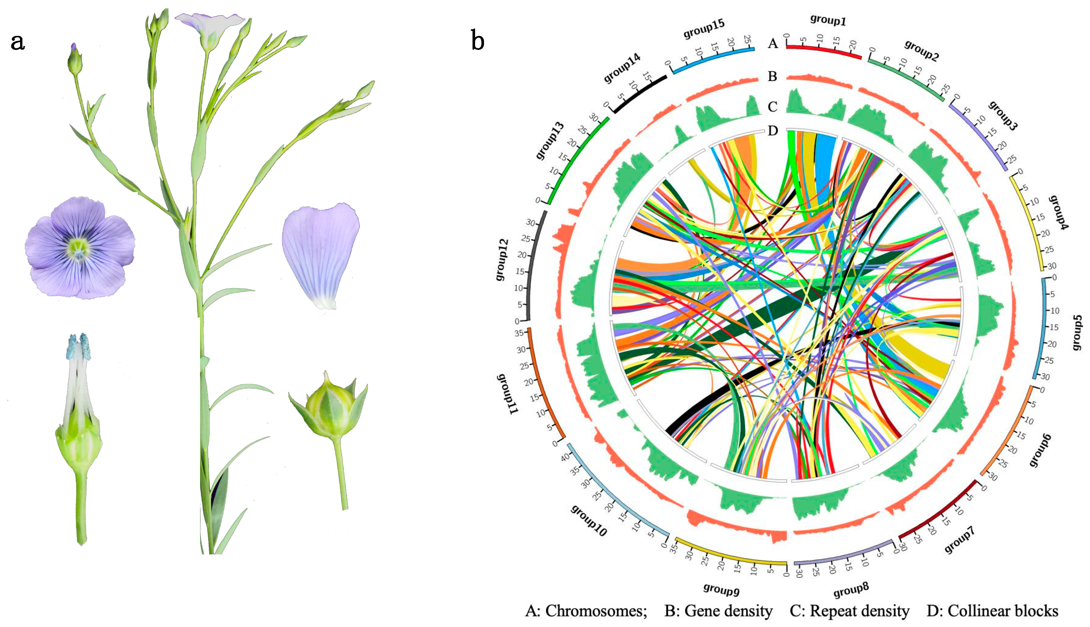 Plants 12 02773 g001