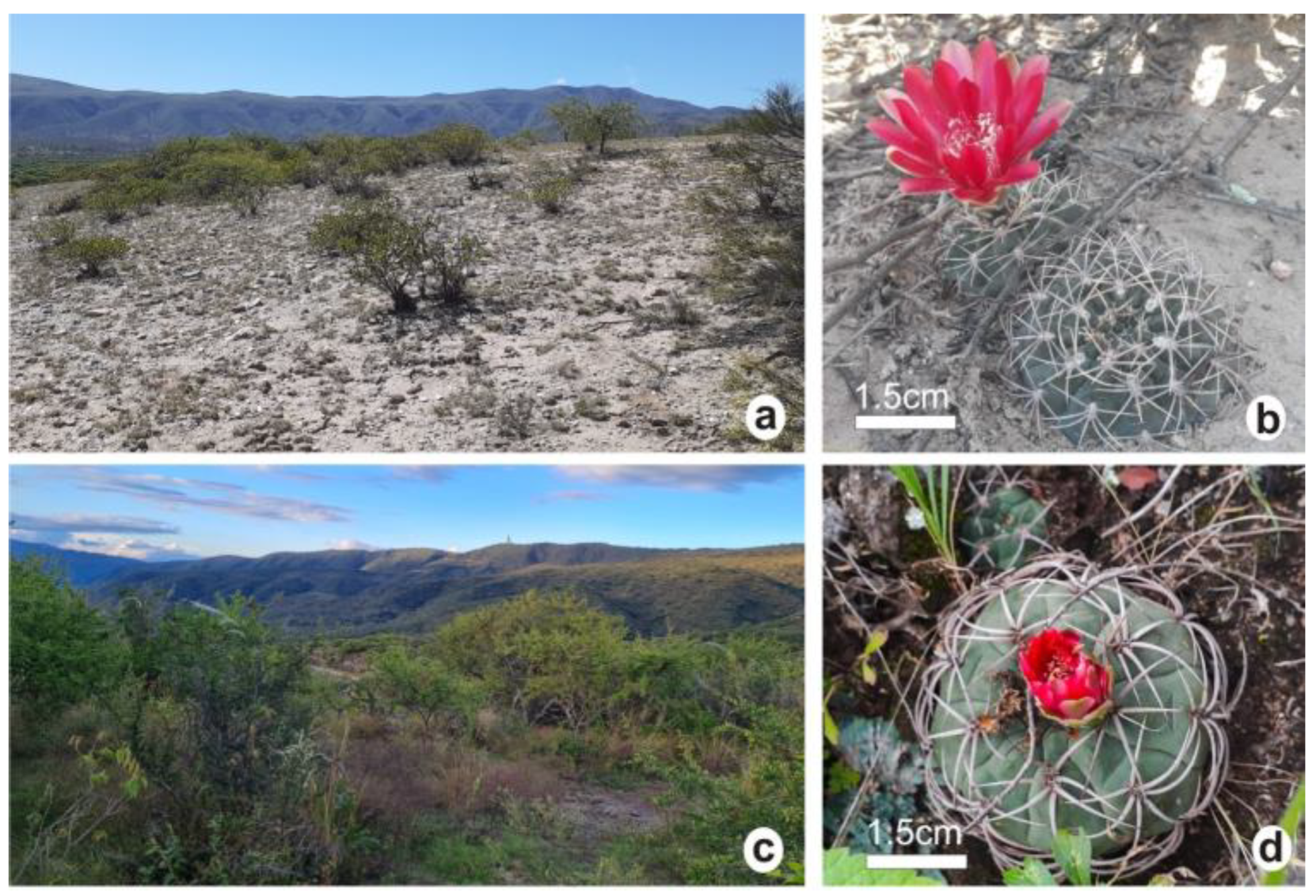 Plants 12 02774 g006 Plants 12 02774 g006