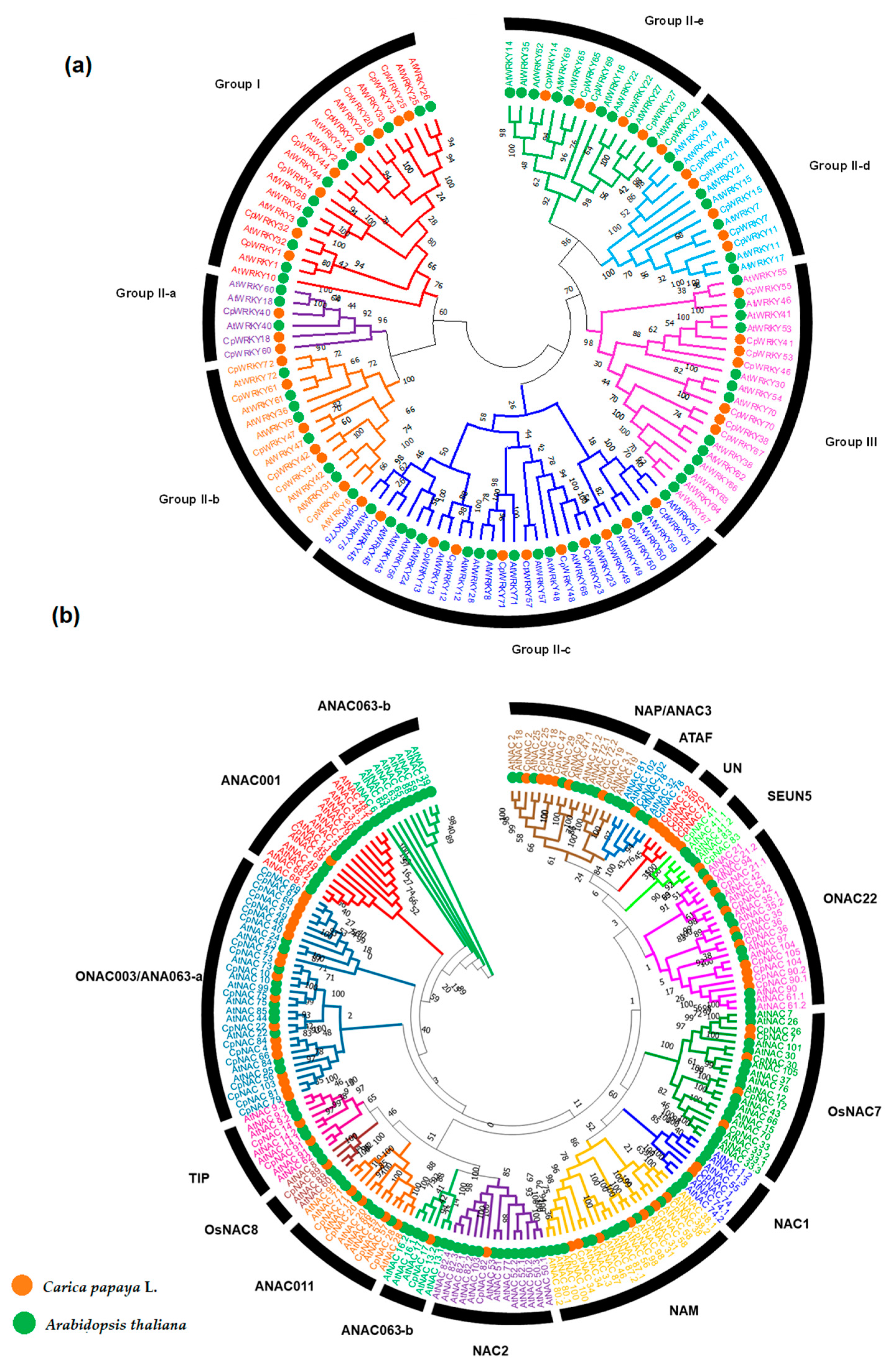 Plants 12 02775 g002 Plants 12 02775 g002