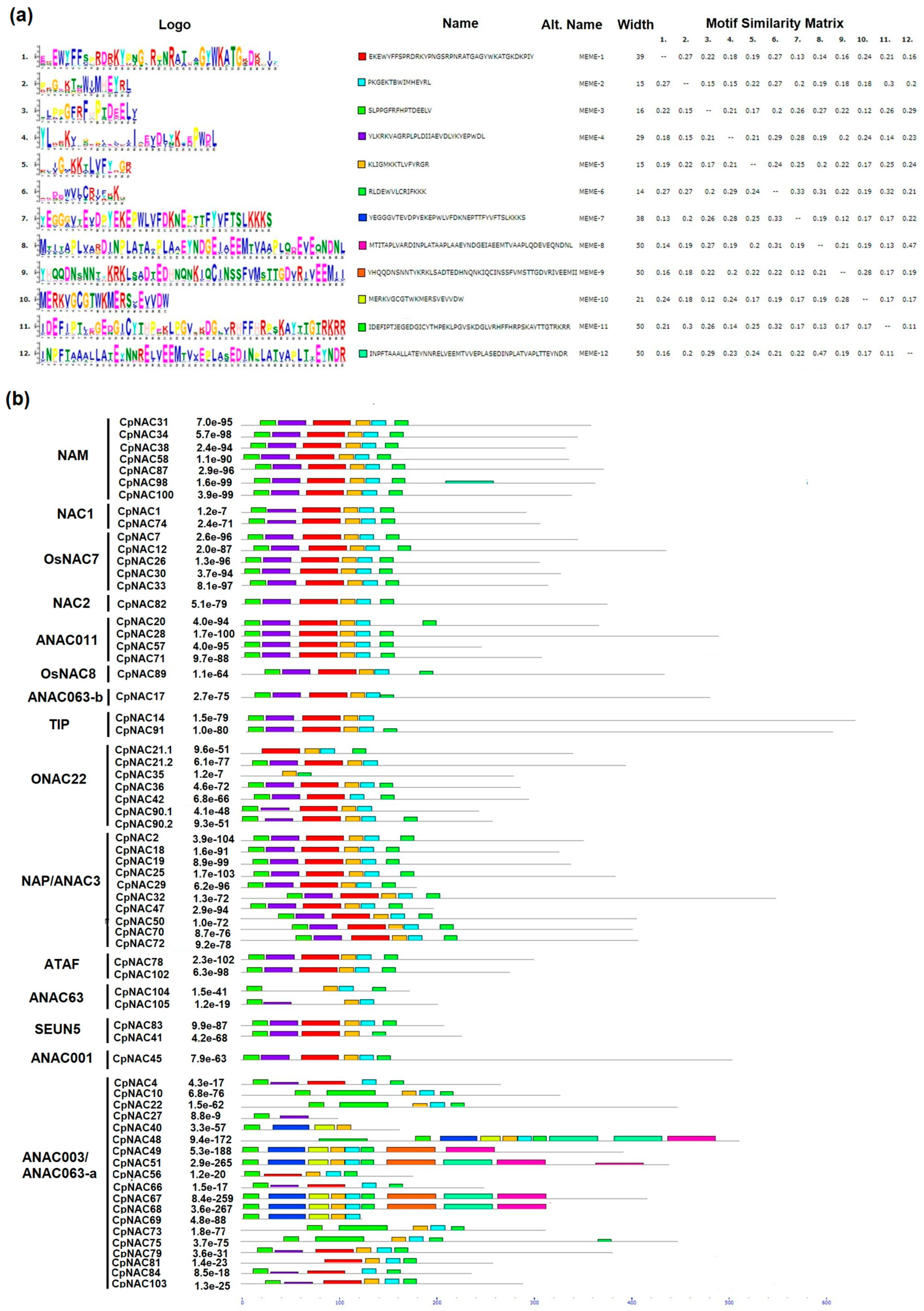 Plants 12 02775 g004 Plants 12 02775 g004