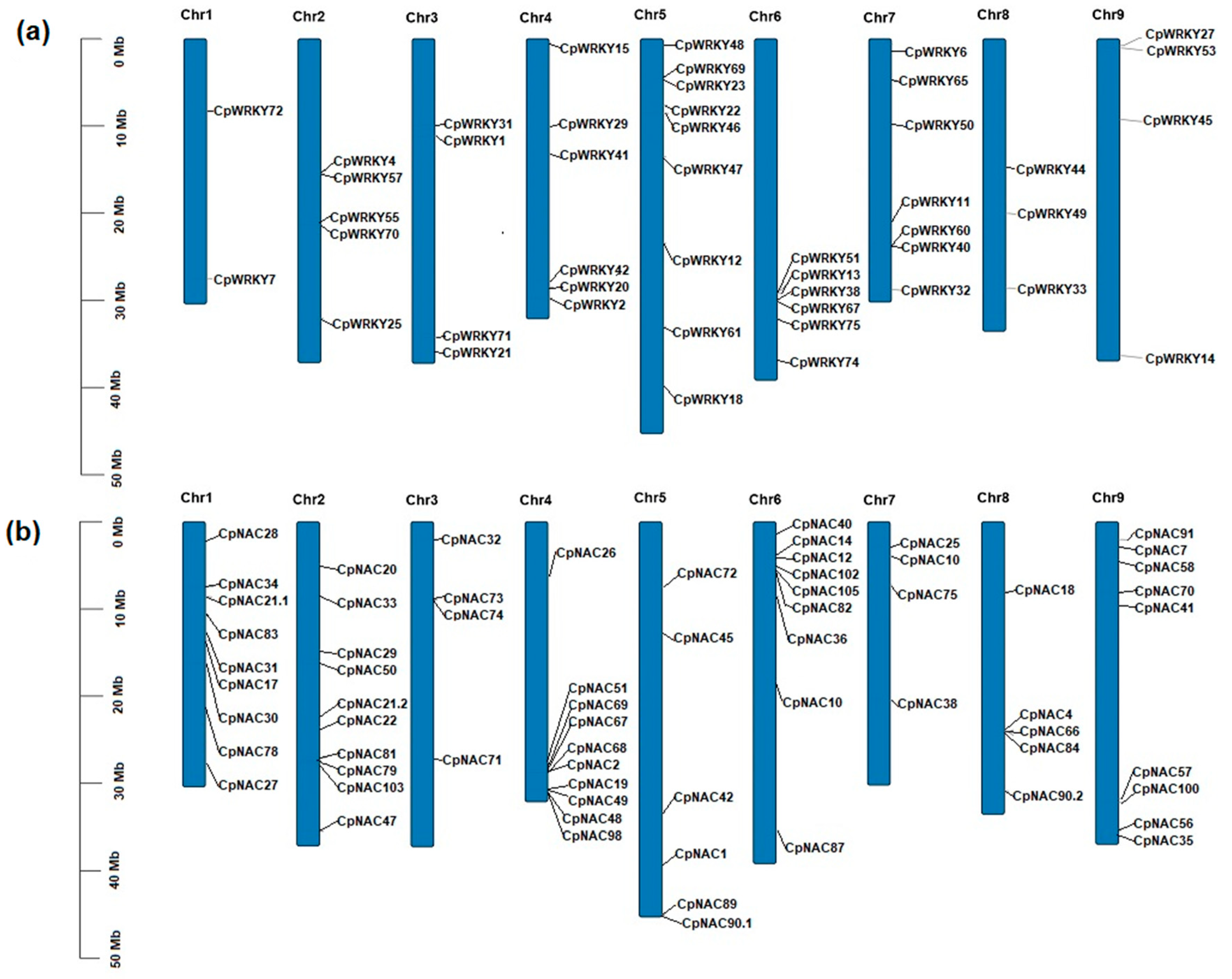 Plants 12 02775 g006 Plants 12 02775 g006