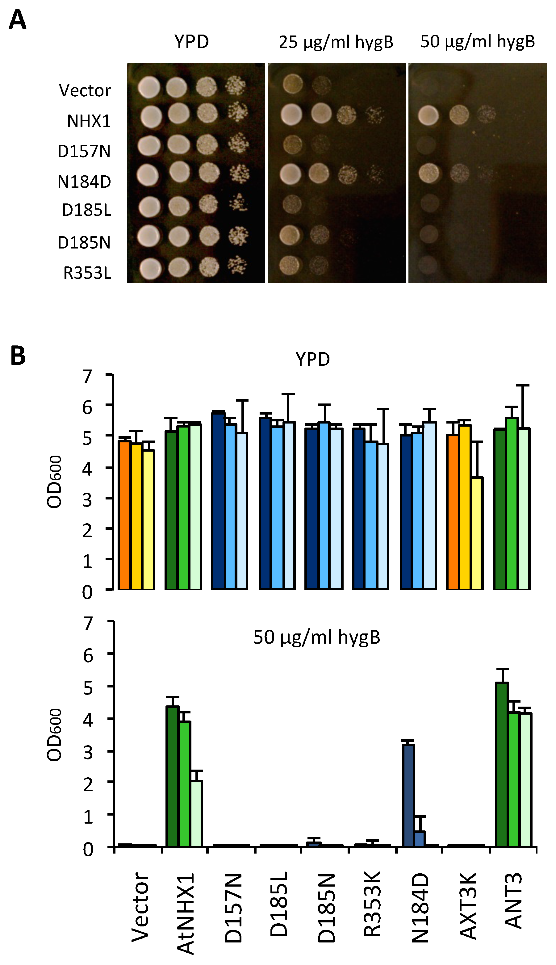 Plants 12 02778 g006