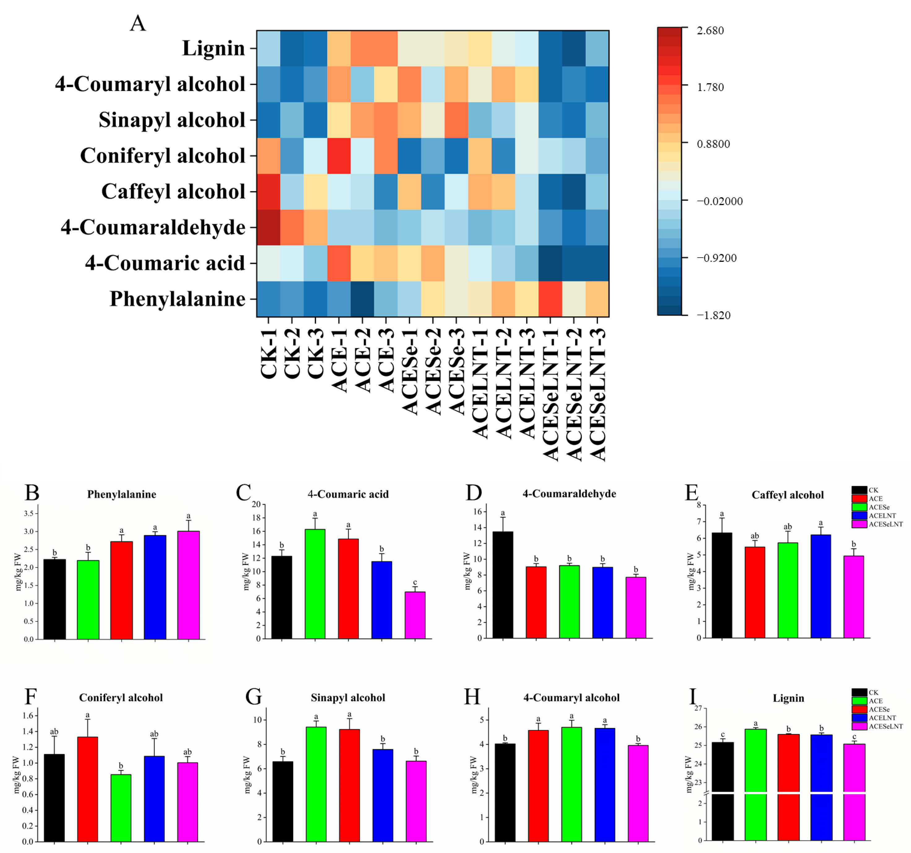 Plants 12 02781 g007 Plants 12 02781 g007
